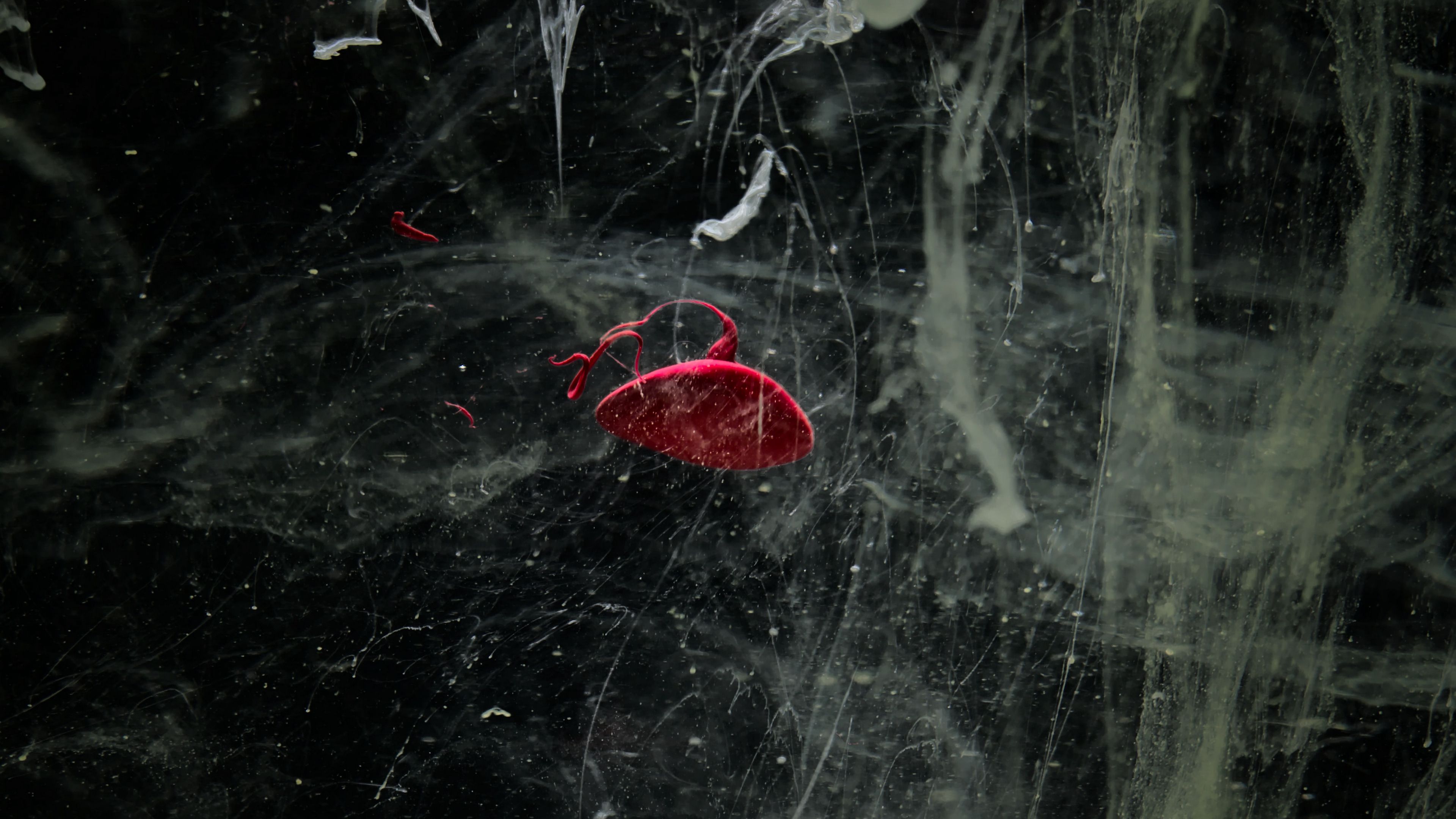 paint, scratches, dark, 4k, HD Wallpaper