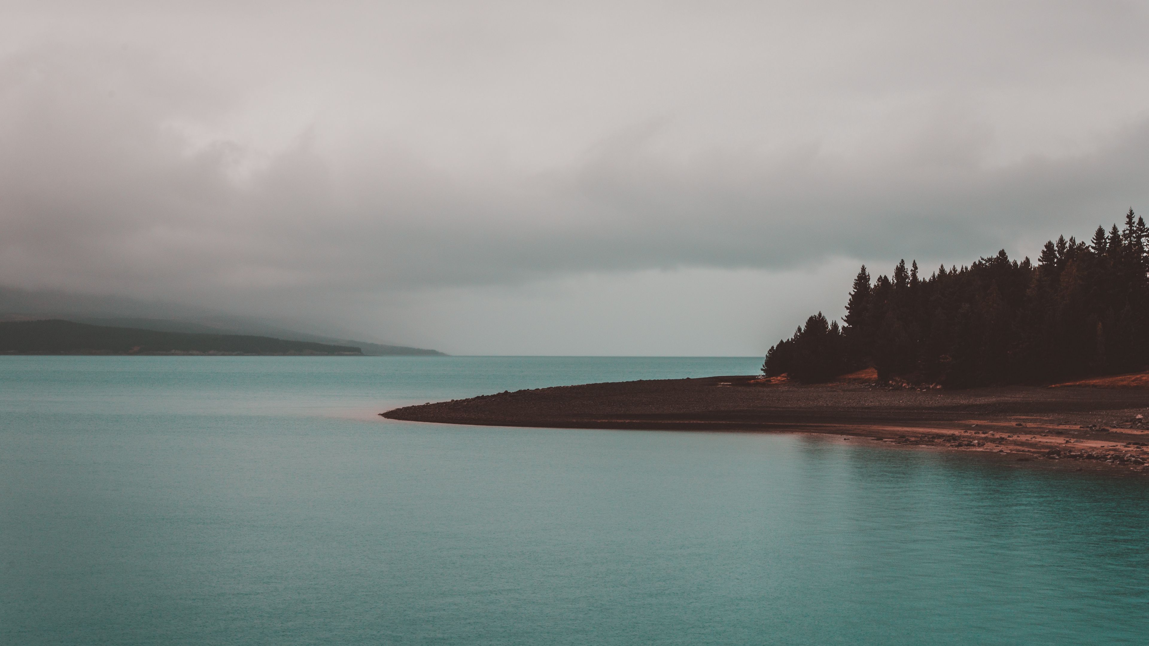 shore, trees, sea, 4k, HD Wallpaper
