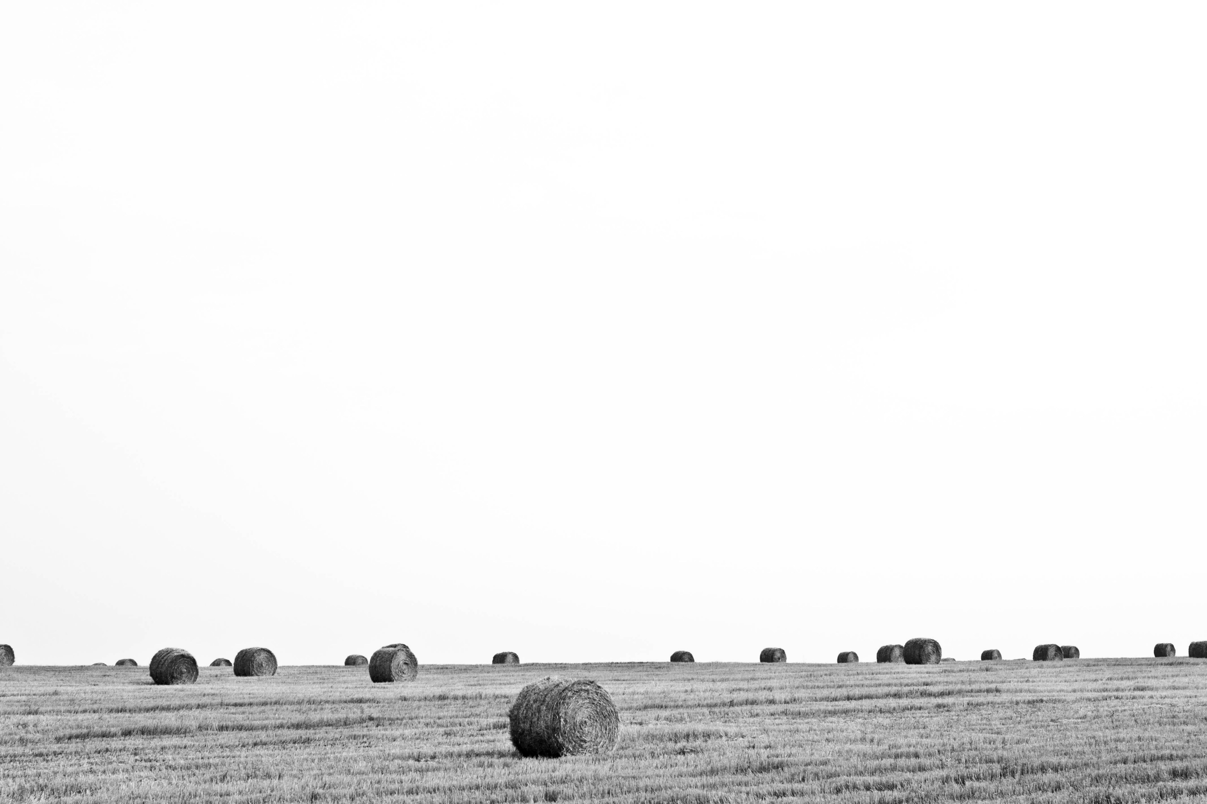 black and white shot of farm field with hay bales and clear sky, monochrome hay bales 4k, HD Wallpaper