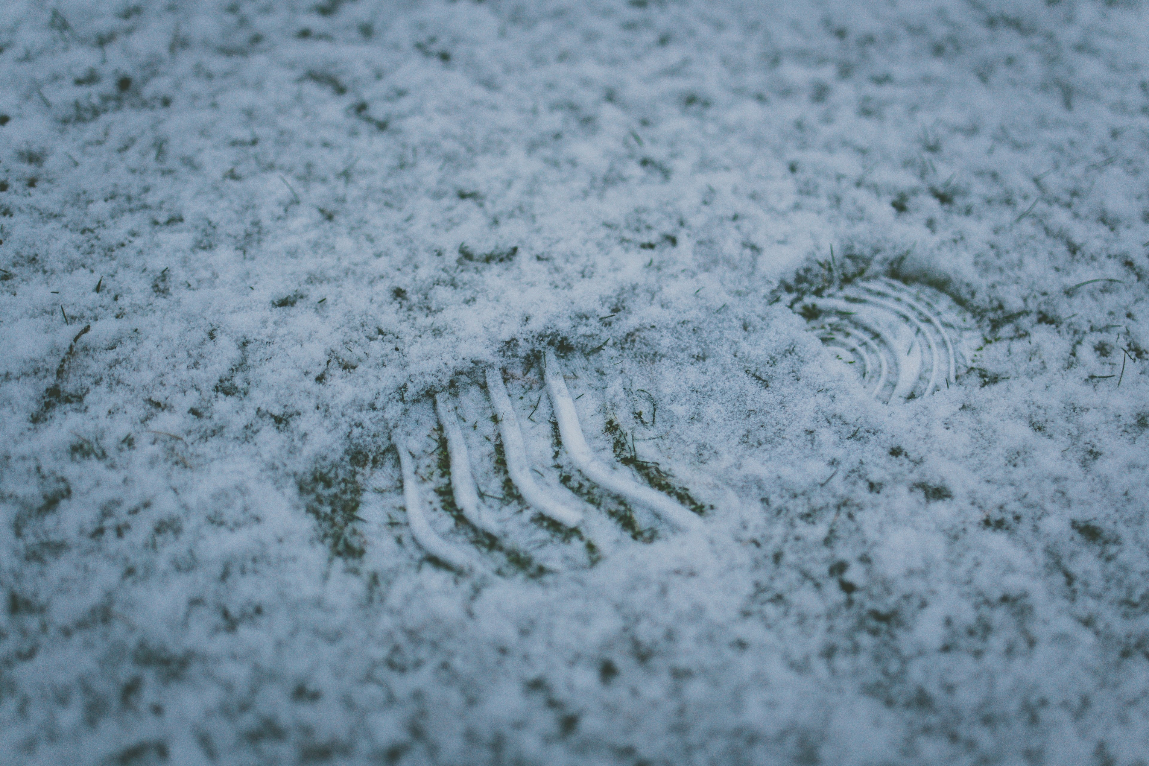 a footprint on a light layer of snow in the grass, a footprint in the snow 4k, HD Wallpaper