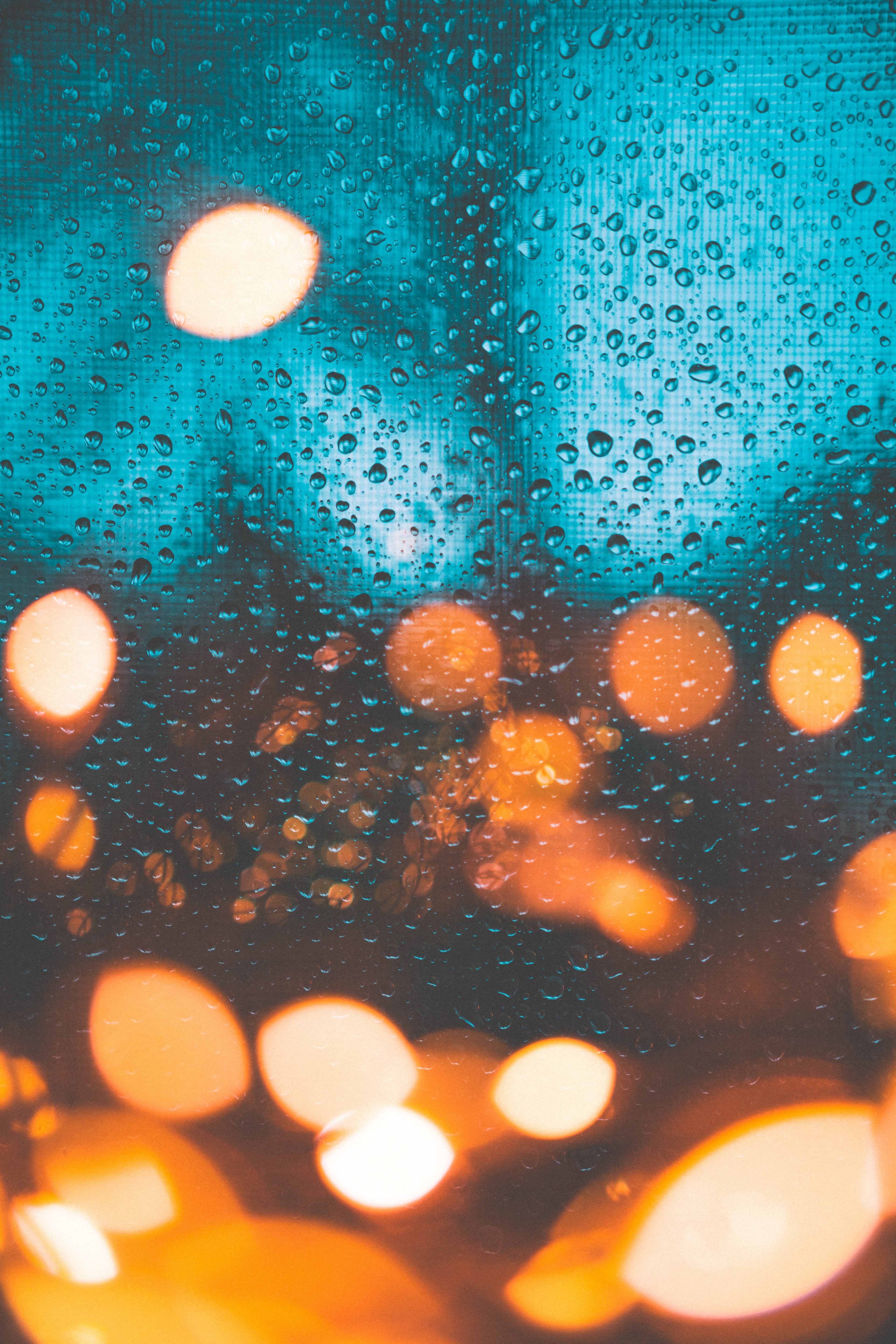 raindy day with some added bokeh 4k, Phone HD Wallpaper