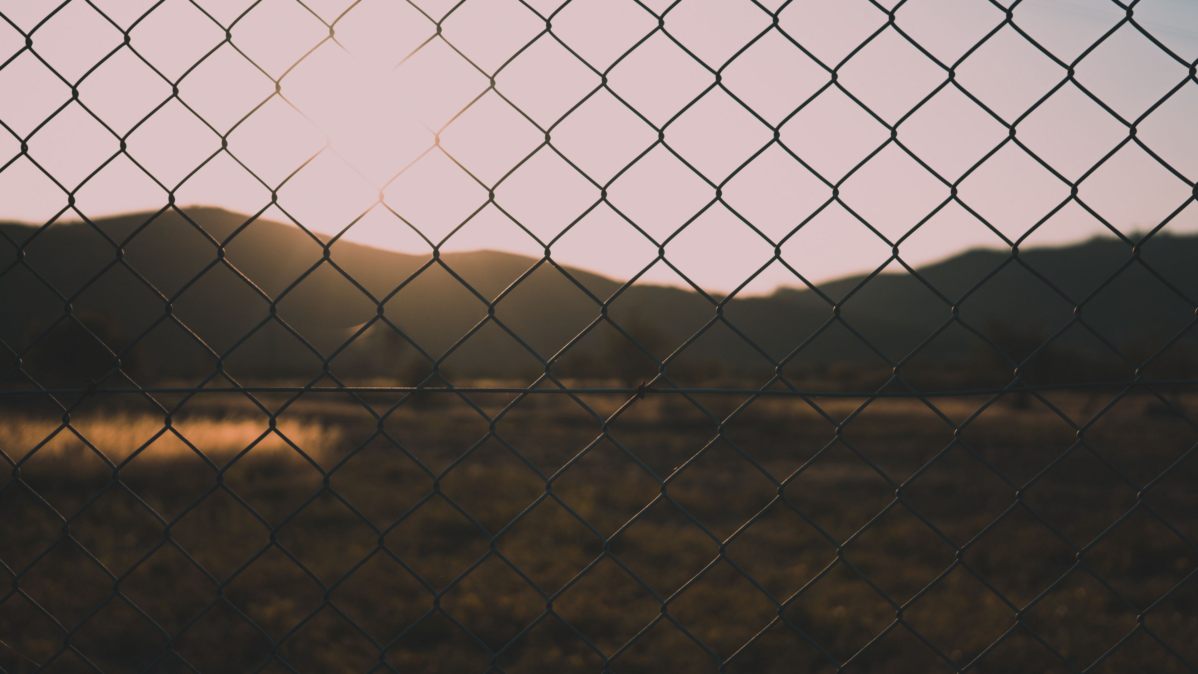 fence, mesh, blur, nature, 4k, HD Wallpaper