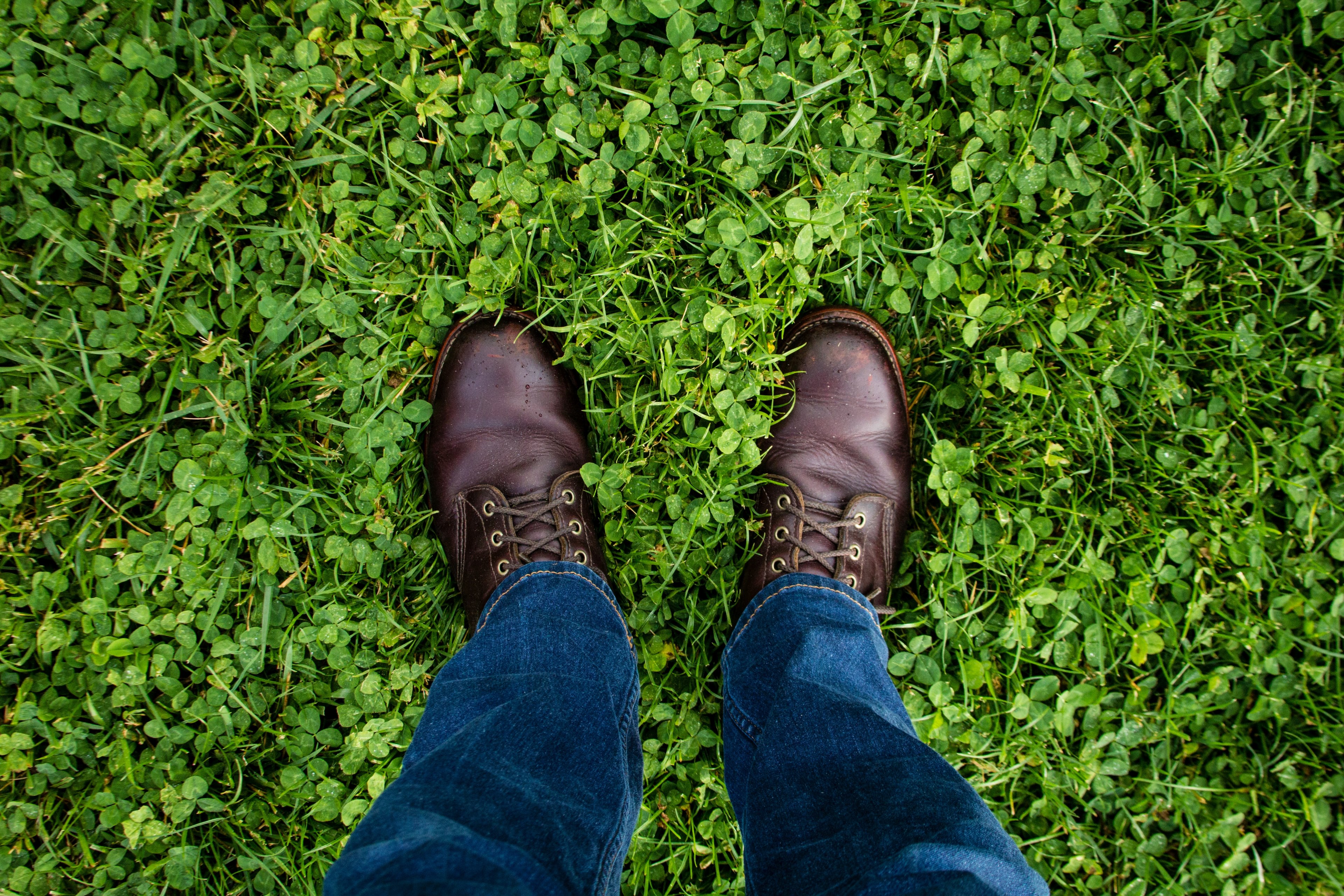 green shoe grass and boot 4k, HD Wallpaper