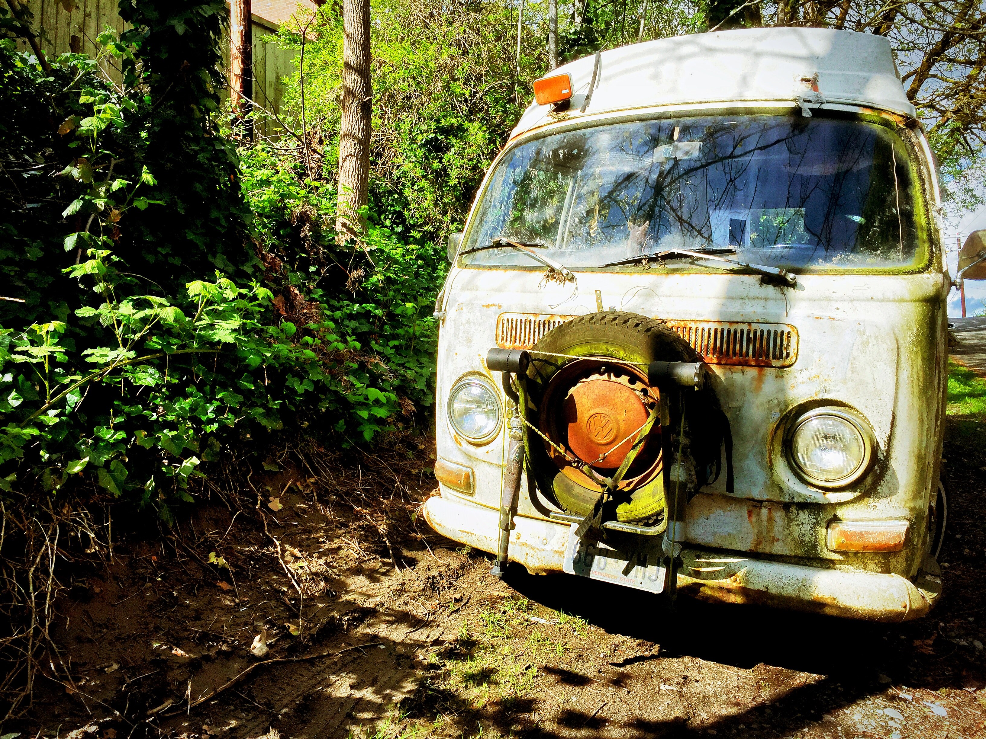 forest lost in nature nature and vw 4k, HD Wallpaper