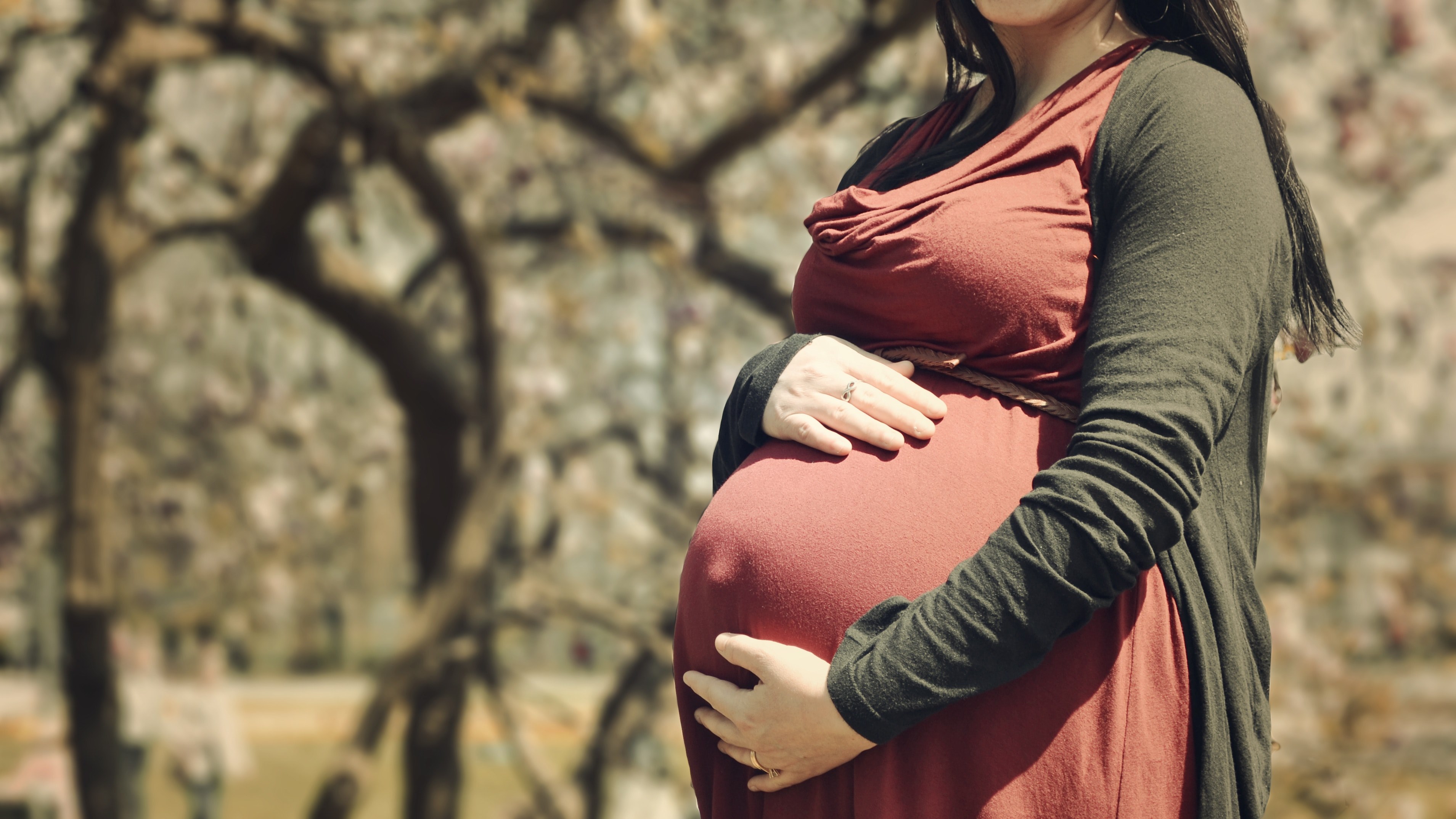 pregnant woman holds her belly in autumn colors outdoors, autumn baby to be 4k, HD Wallpaper