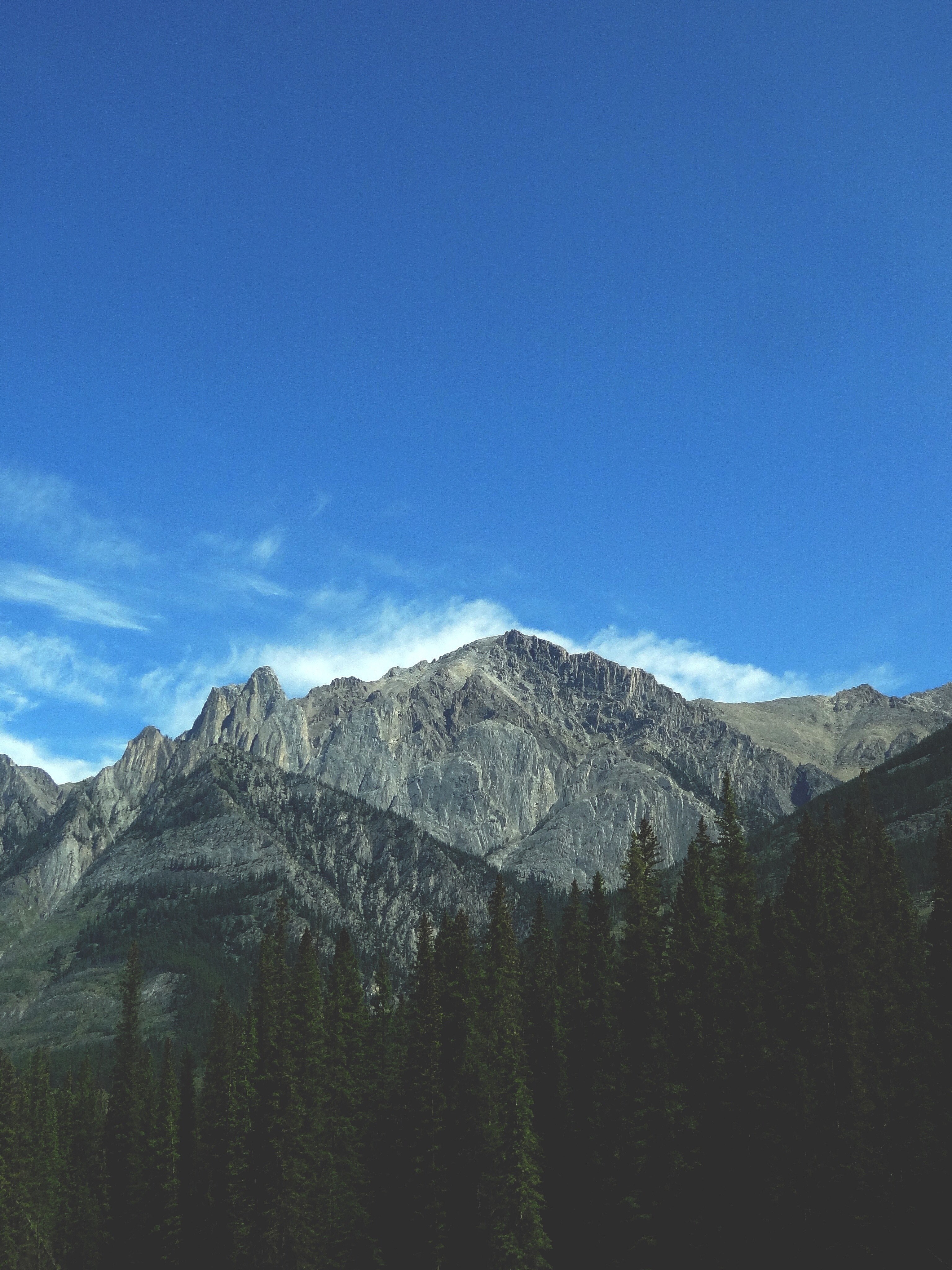 a sharp mountain ridge rising up above a coniferous forest, sharp mountain ridge against blue sky 4k, Phone HD Wallpaper