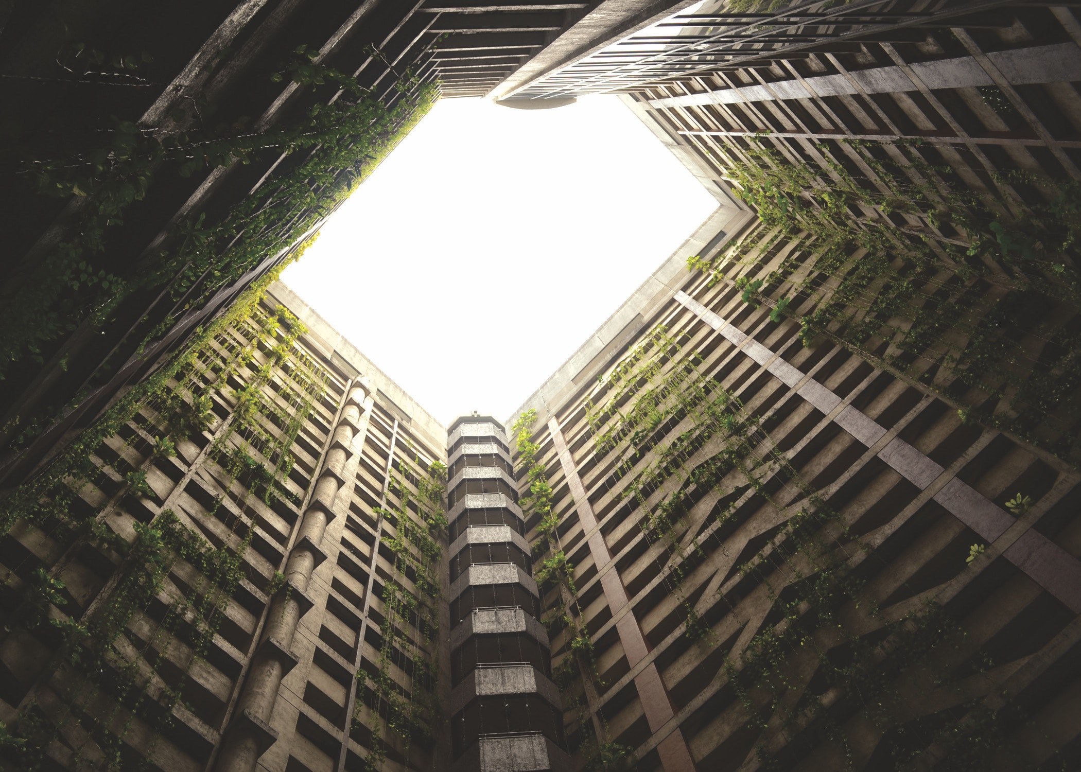 an abandoned building with overgrown vines, abandoned building 4k, HD Wallpaper