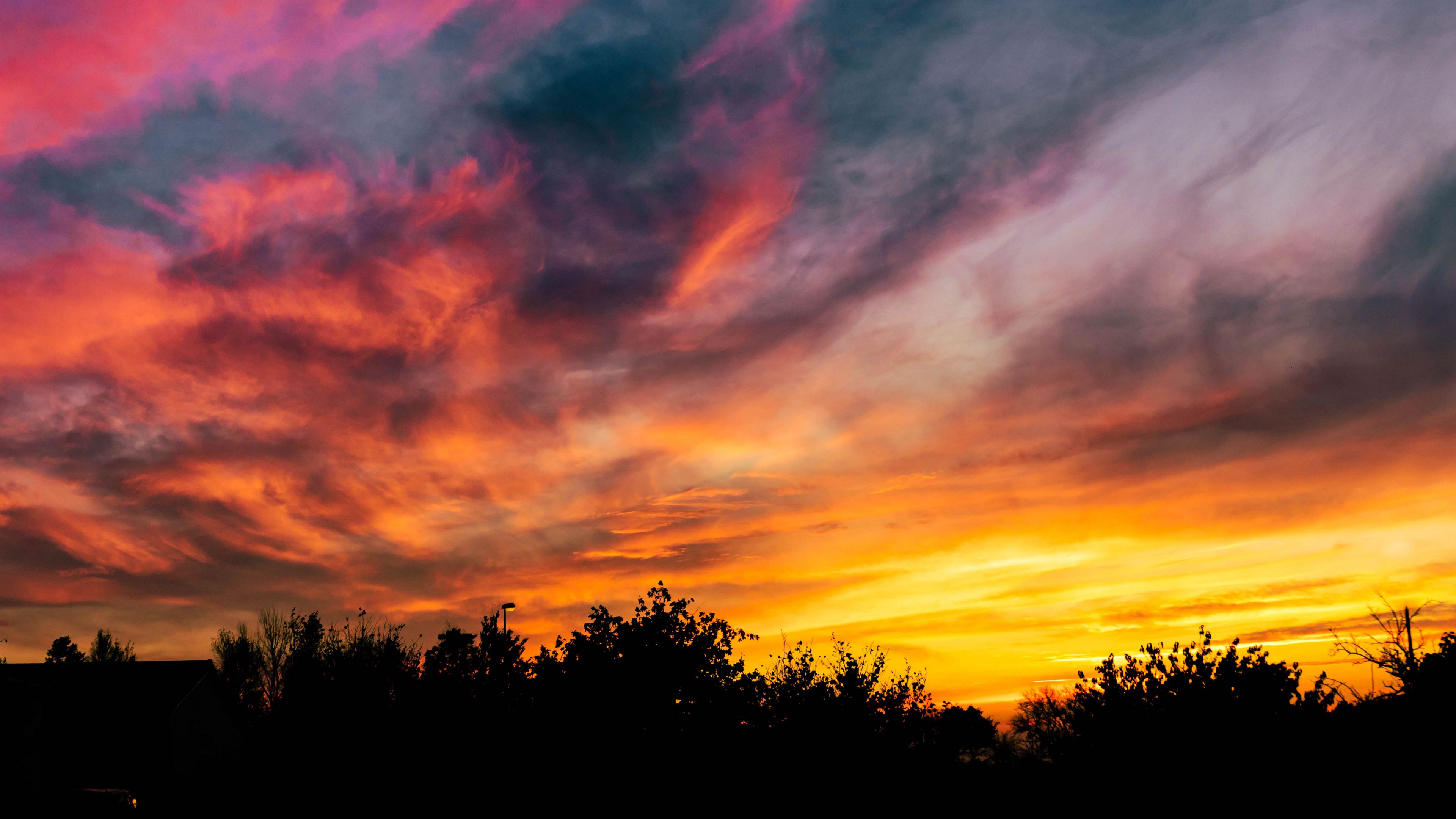 sunset, sky, trees, colorful, 4k, HD Wallpaper