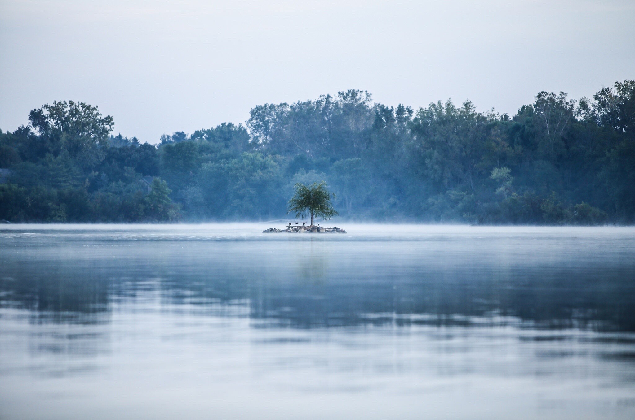 a small island with a bench and a tree in the middle of a misty lake, island on a hazy lake 4k, HD Wallpaper