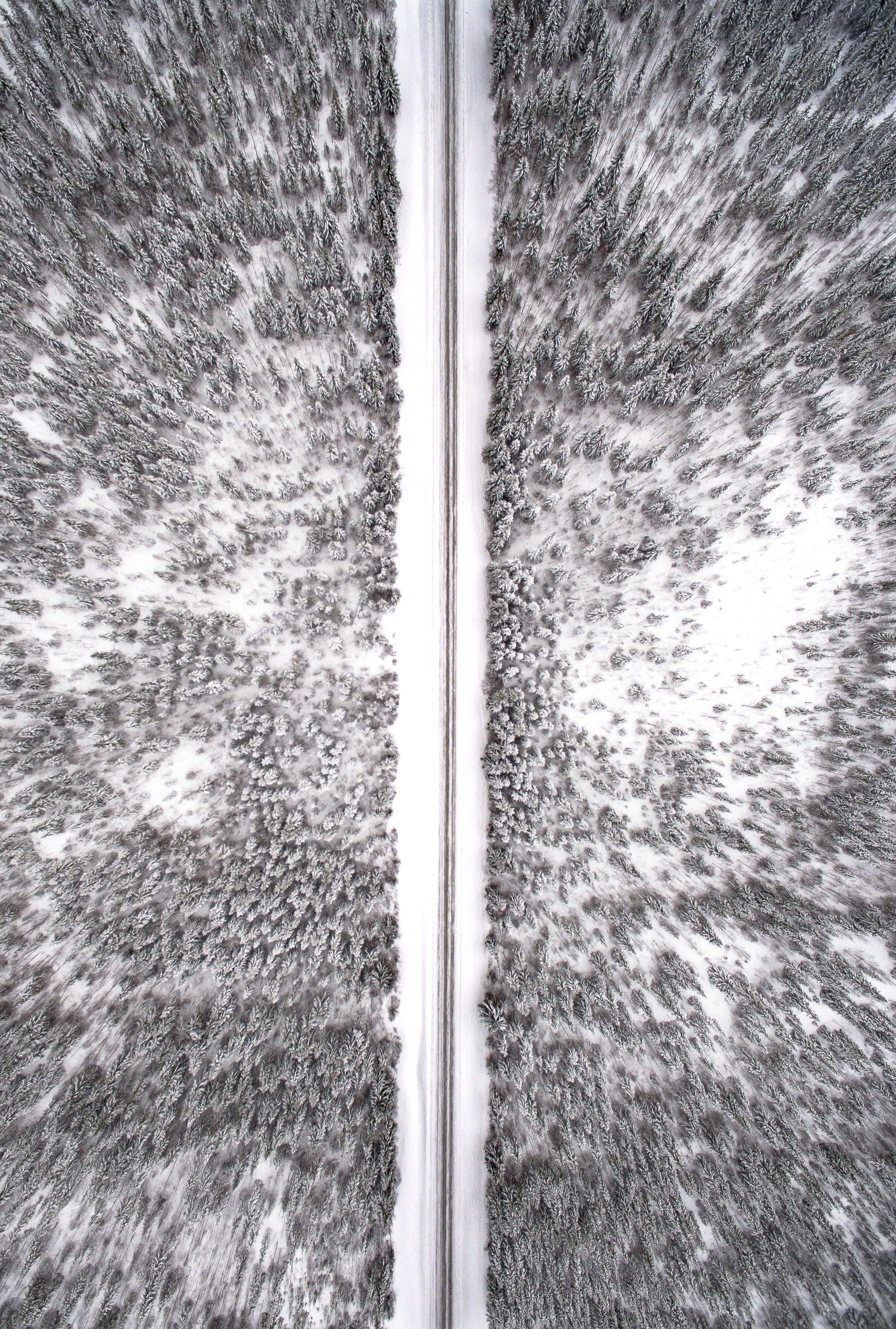 a drone shot of a narrow road cutting through a snowy forest in jamtland county, long snowy road from above 4k, Phone HD Wallpaper