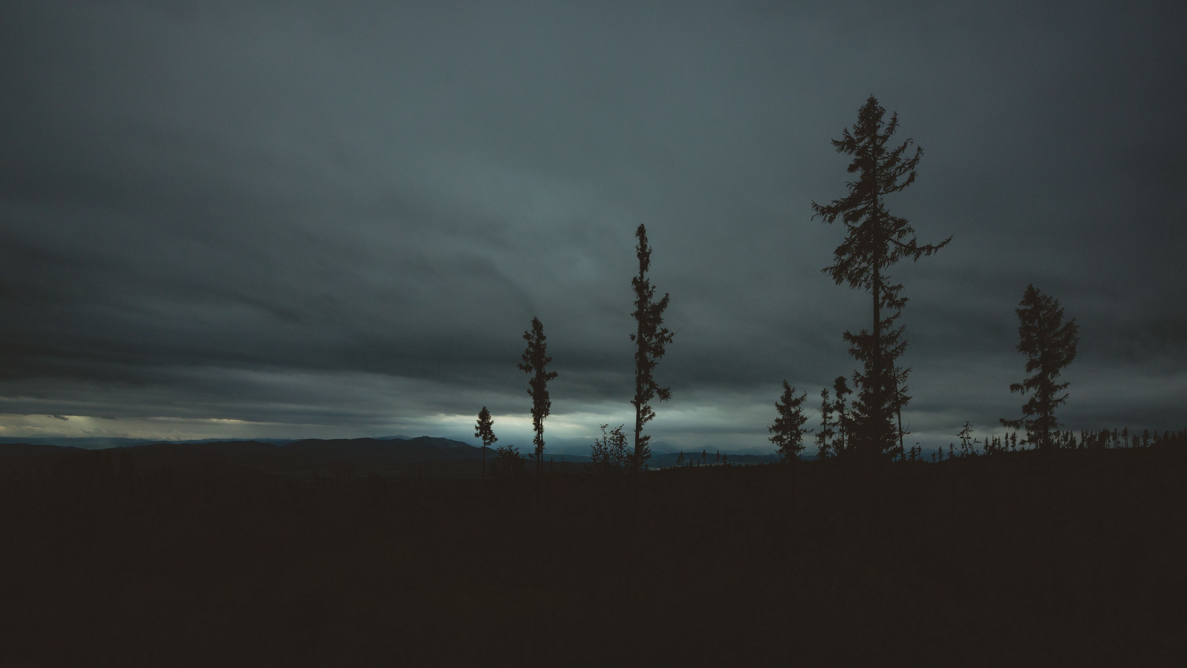 trees, evening, sky, horizon, 4k, HD Wallpaper