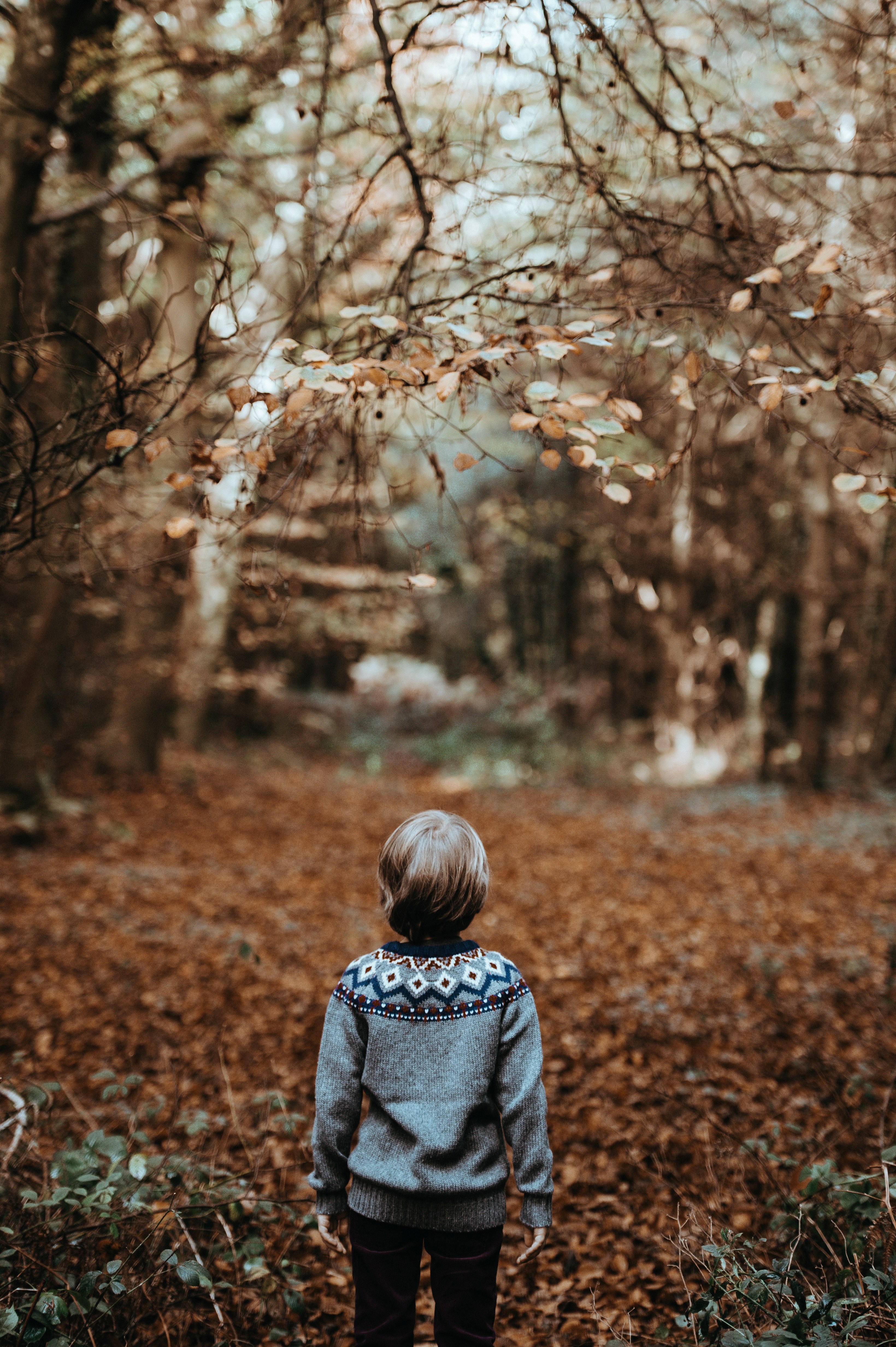 boy child in woods back turned 4k, Phone HD Wallpaper