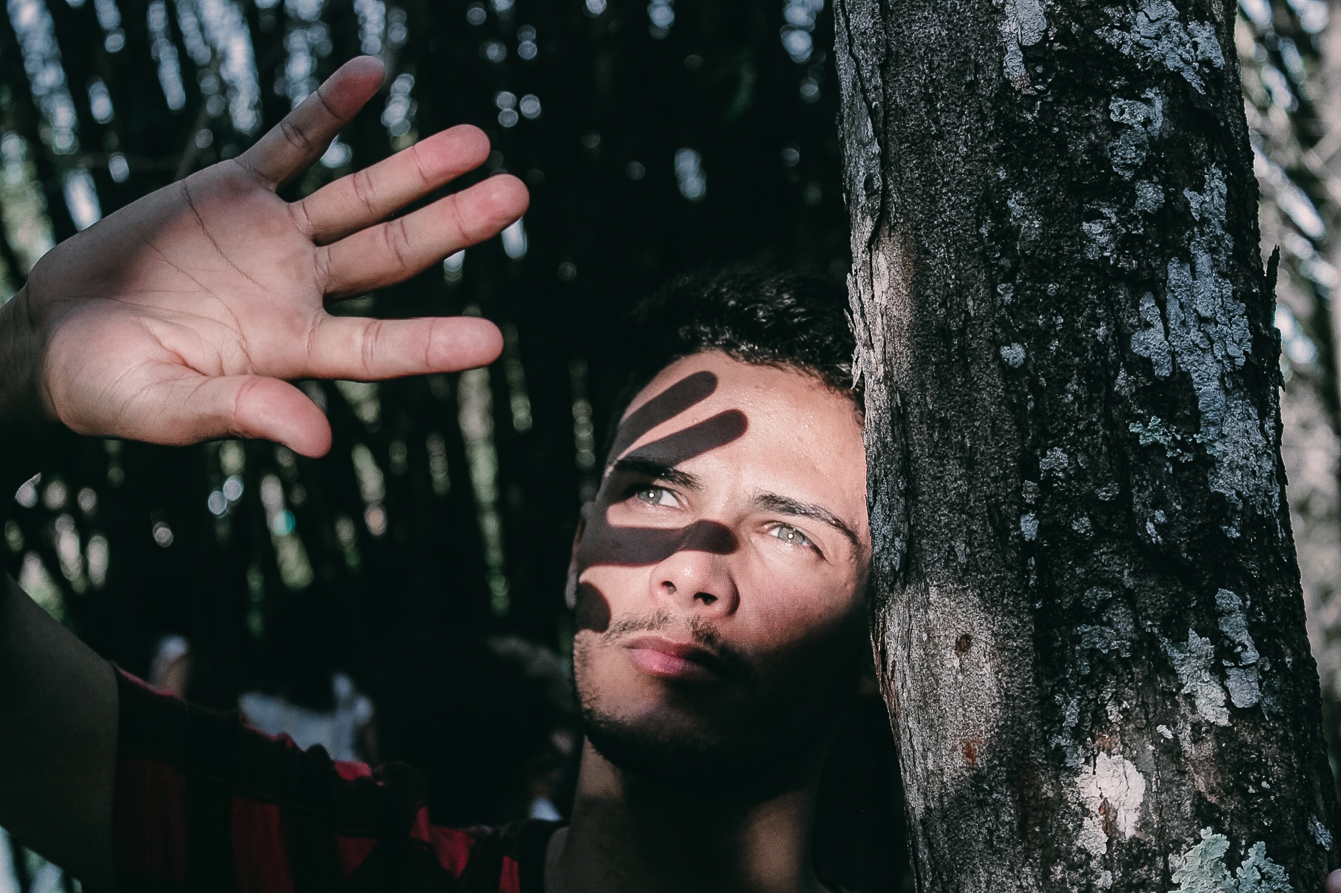 shadow tree hand and caucasian 4k, HD Wallpaper