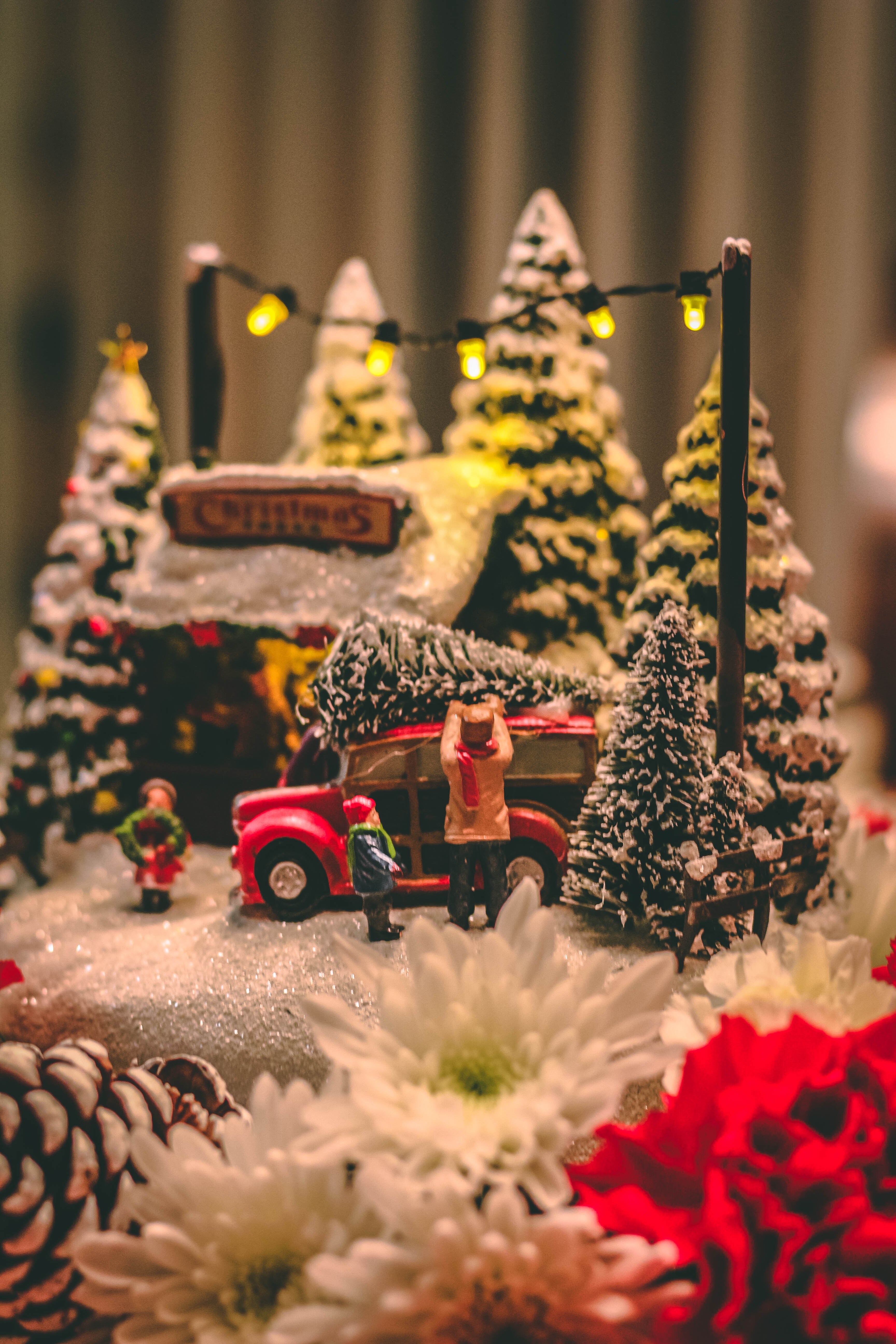 christmas pine winter and festive hd, 4k, Phone HD Wallpaper