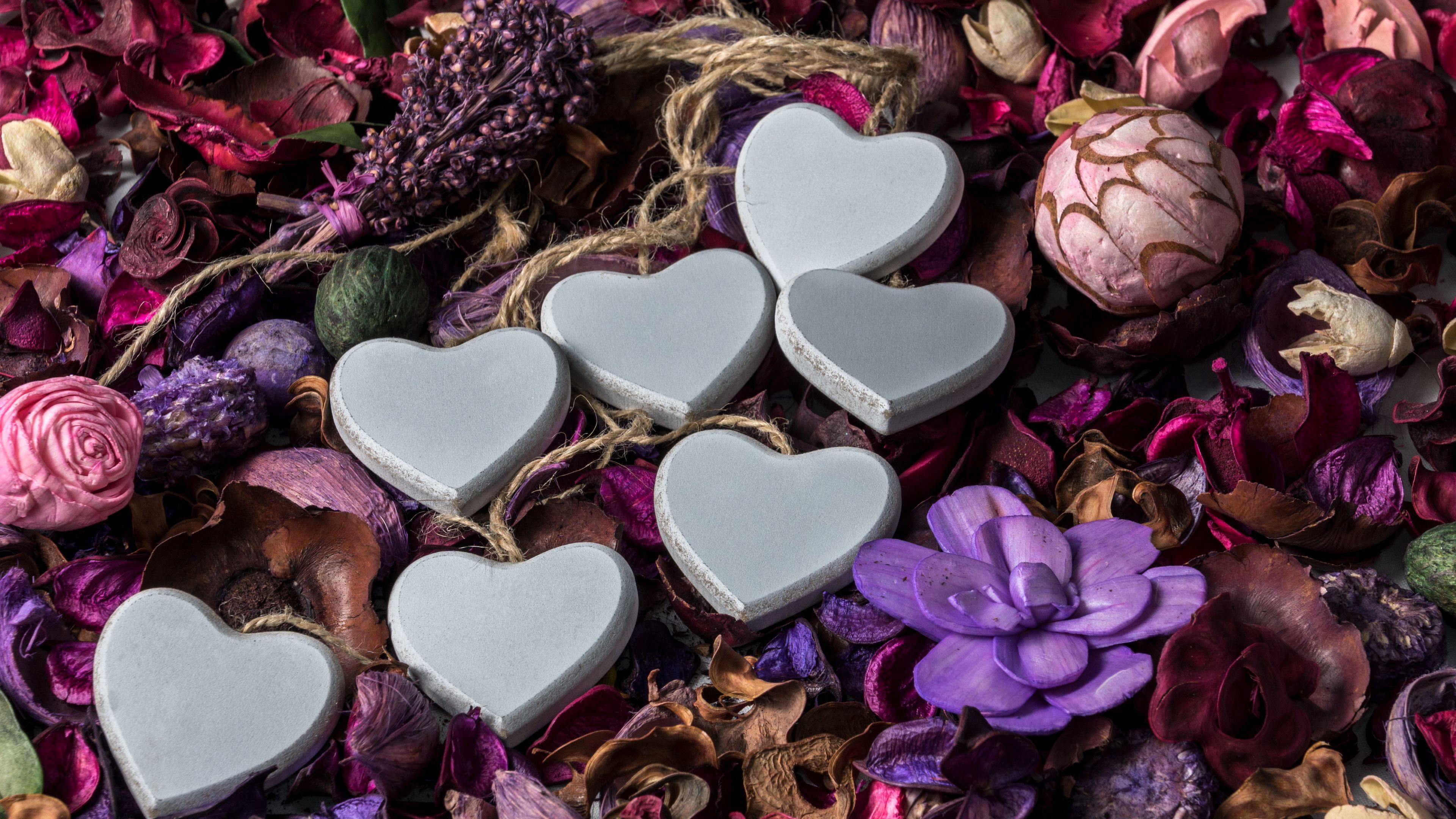 hearts, flowers, herbarium, 4k, HD Wallpaper