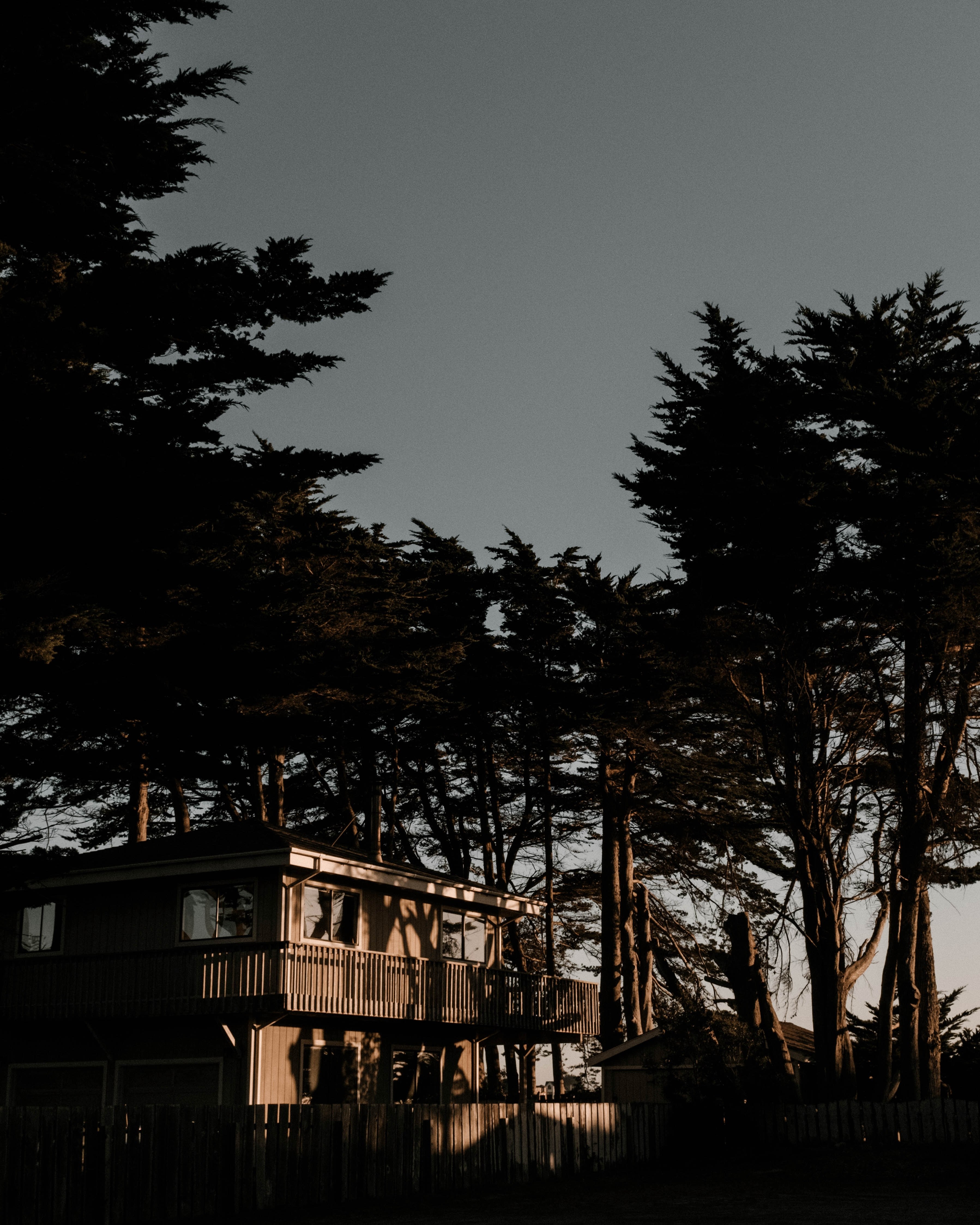 building architecture wooden and tree hd, 4k, Phone HD Wallpaper