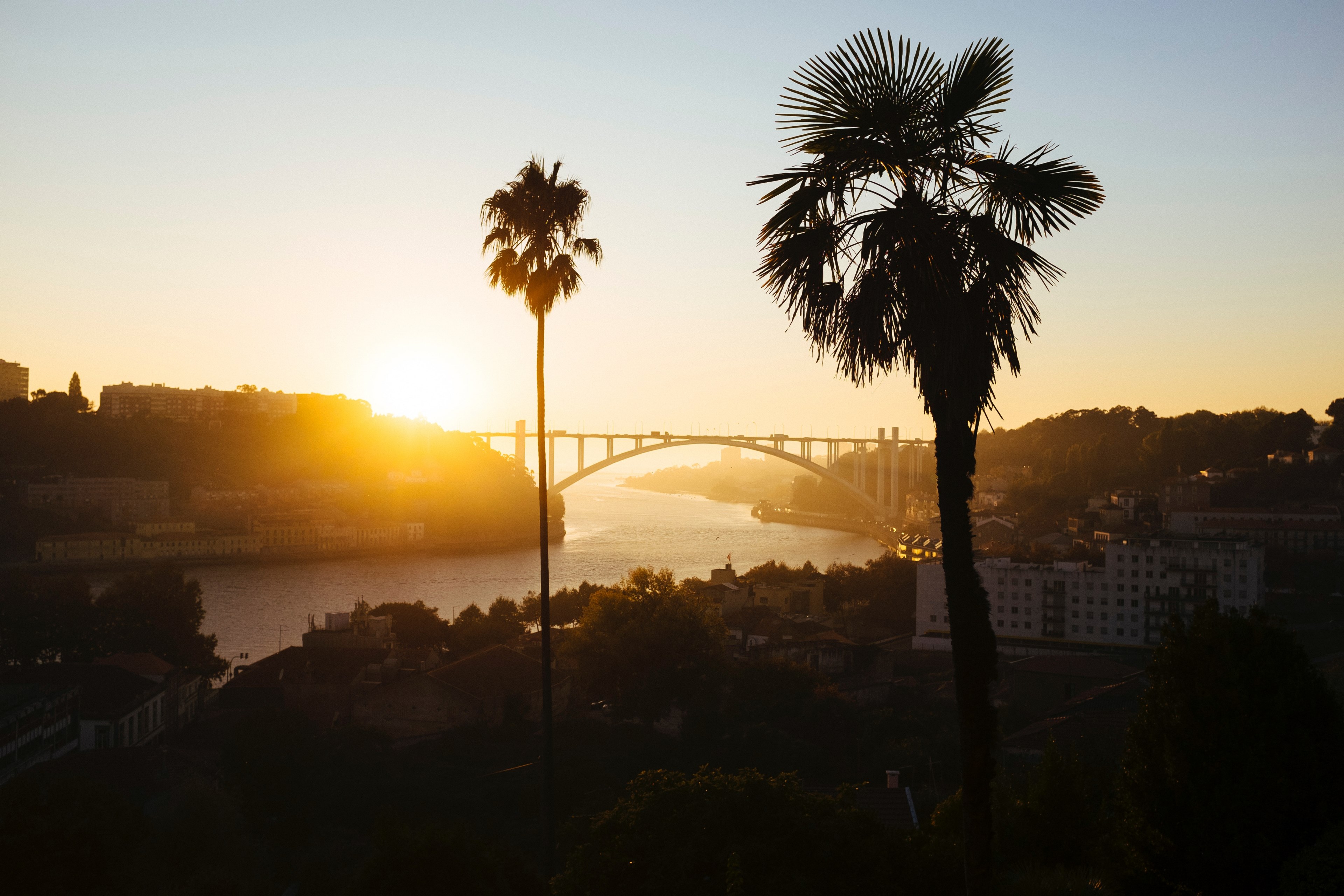 bridge sunset tree and river 4k, HD Wallpaper