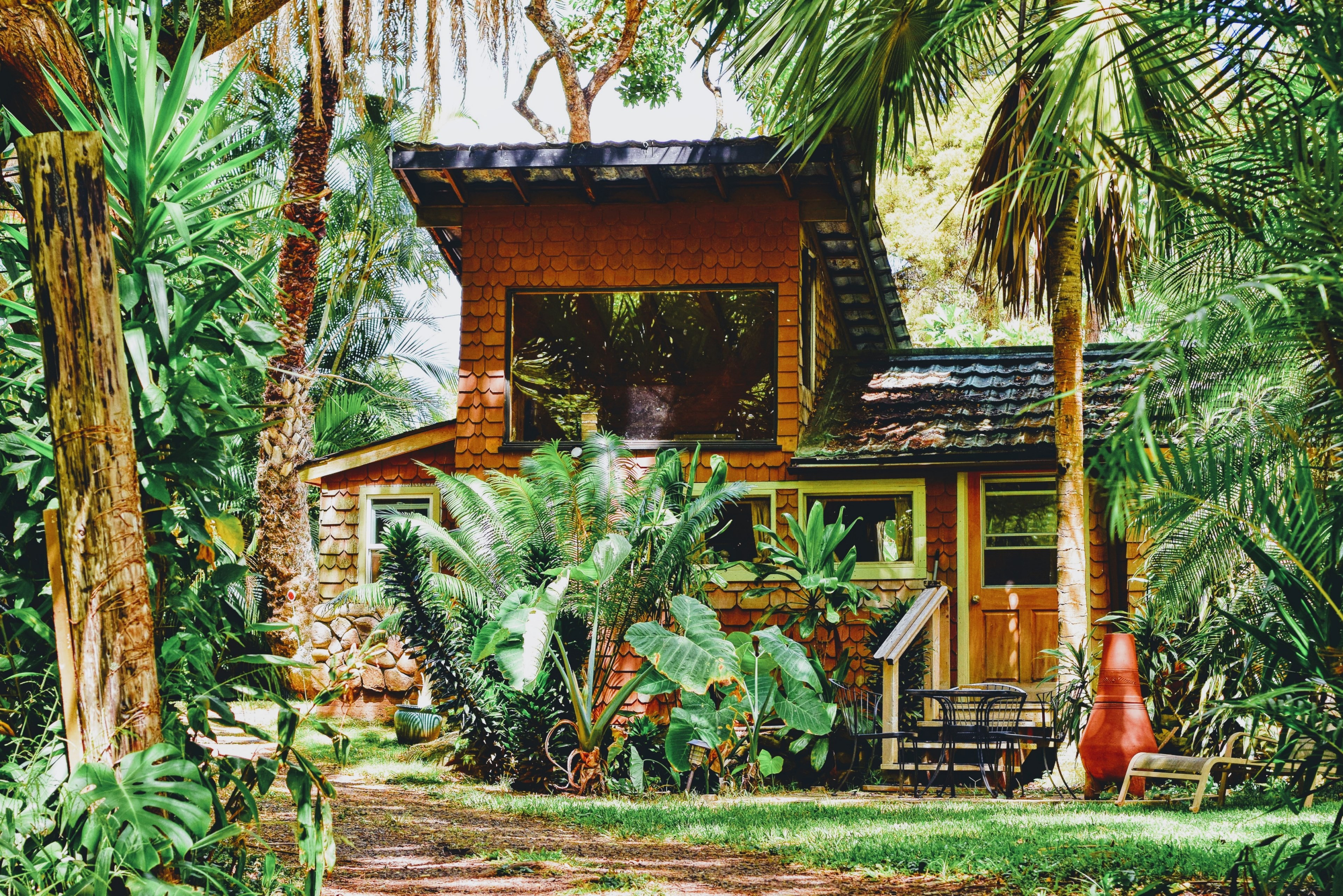 house chalet tree and garden 4k, HD Wallpaper