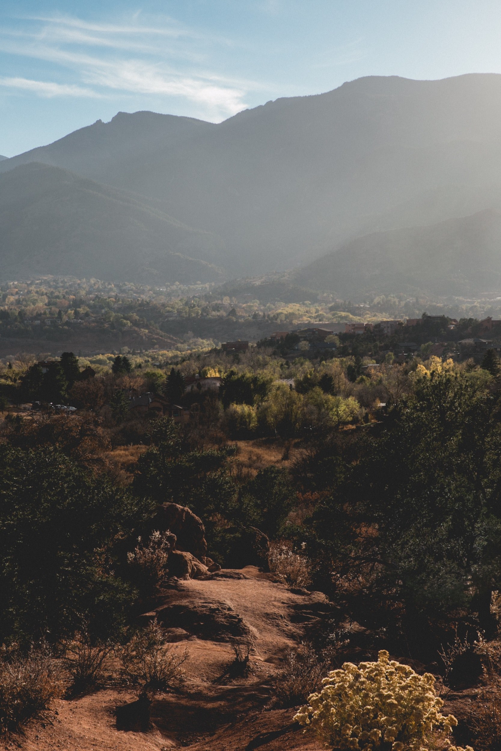 park bush mountain and sunlight hd, 4k, Phone HD Wallpaper