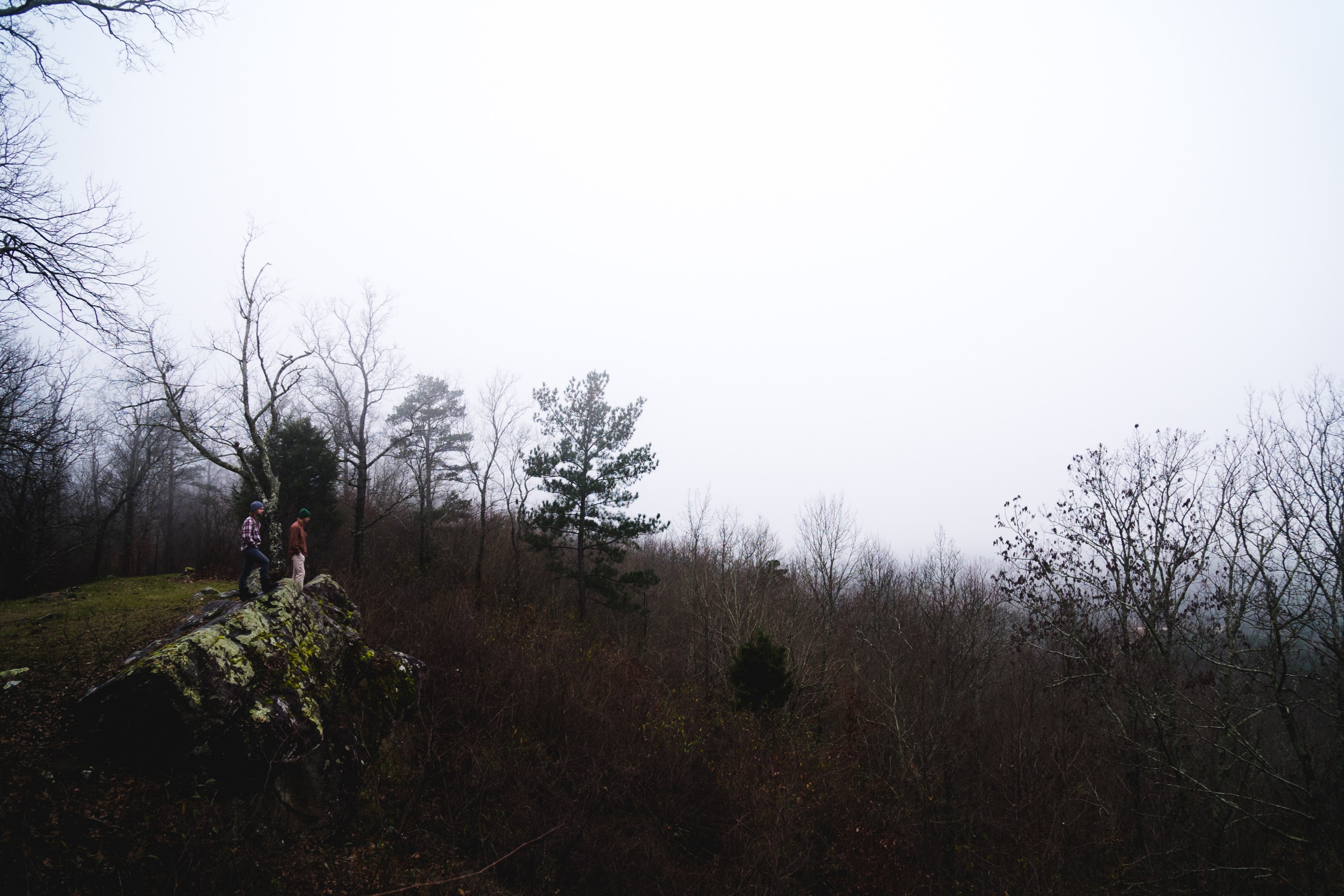 two people on a mossy rock overlooking dry shrubs in oak mountain state park, hikers on a mossy rock 4k, HD Wallpaper