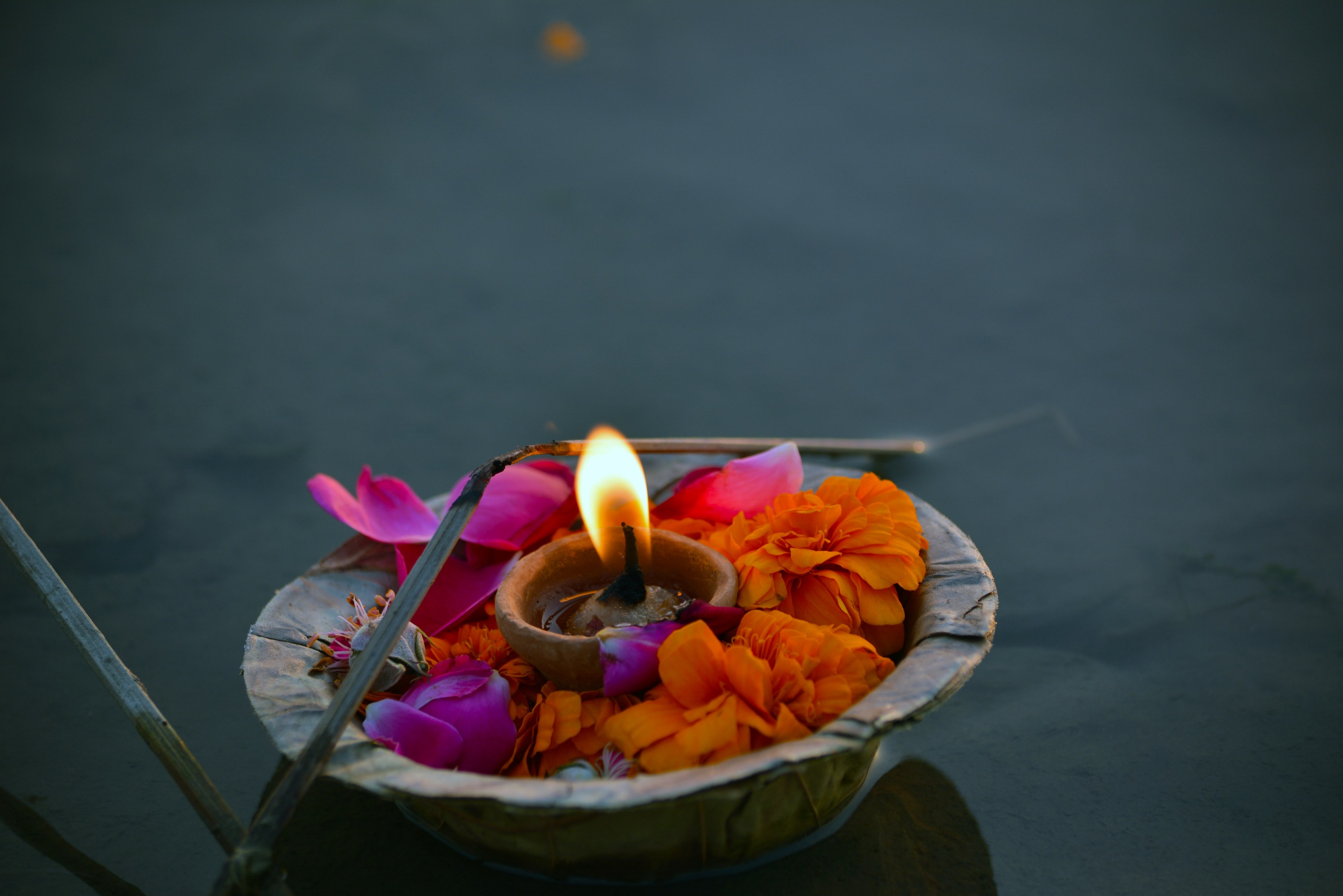 ganga bank river and flower 4k, HD Wallpaper