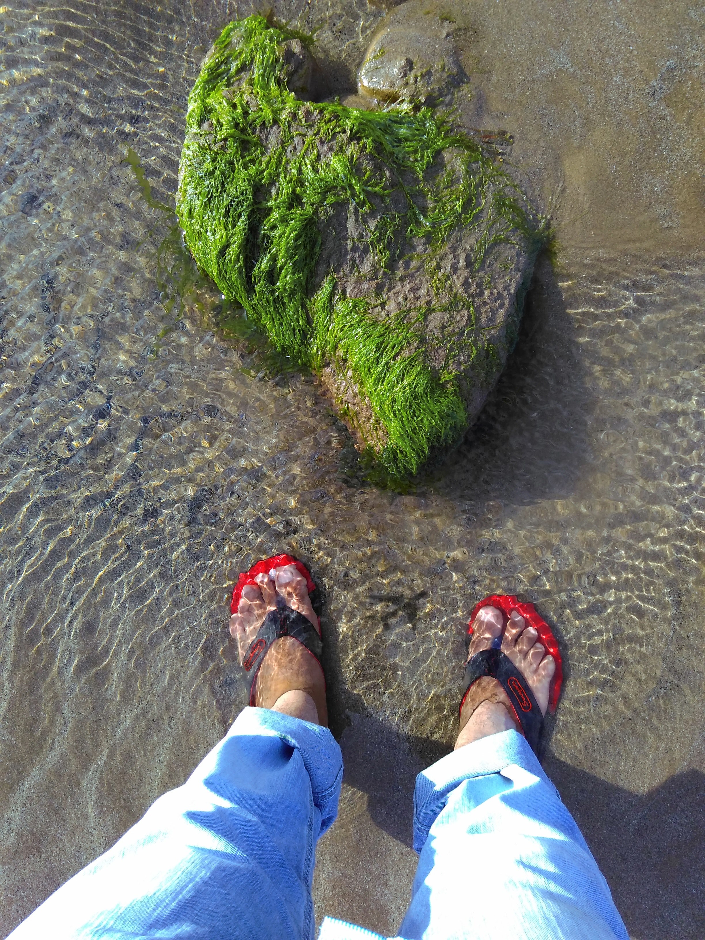 lost on island with slippers 4k, Phone HD Wallpaper