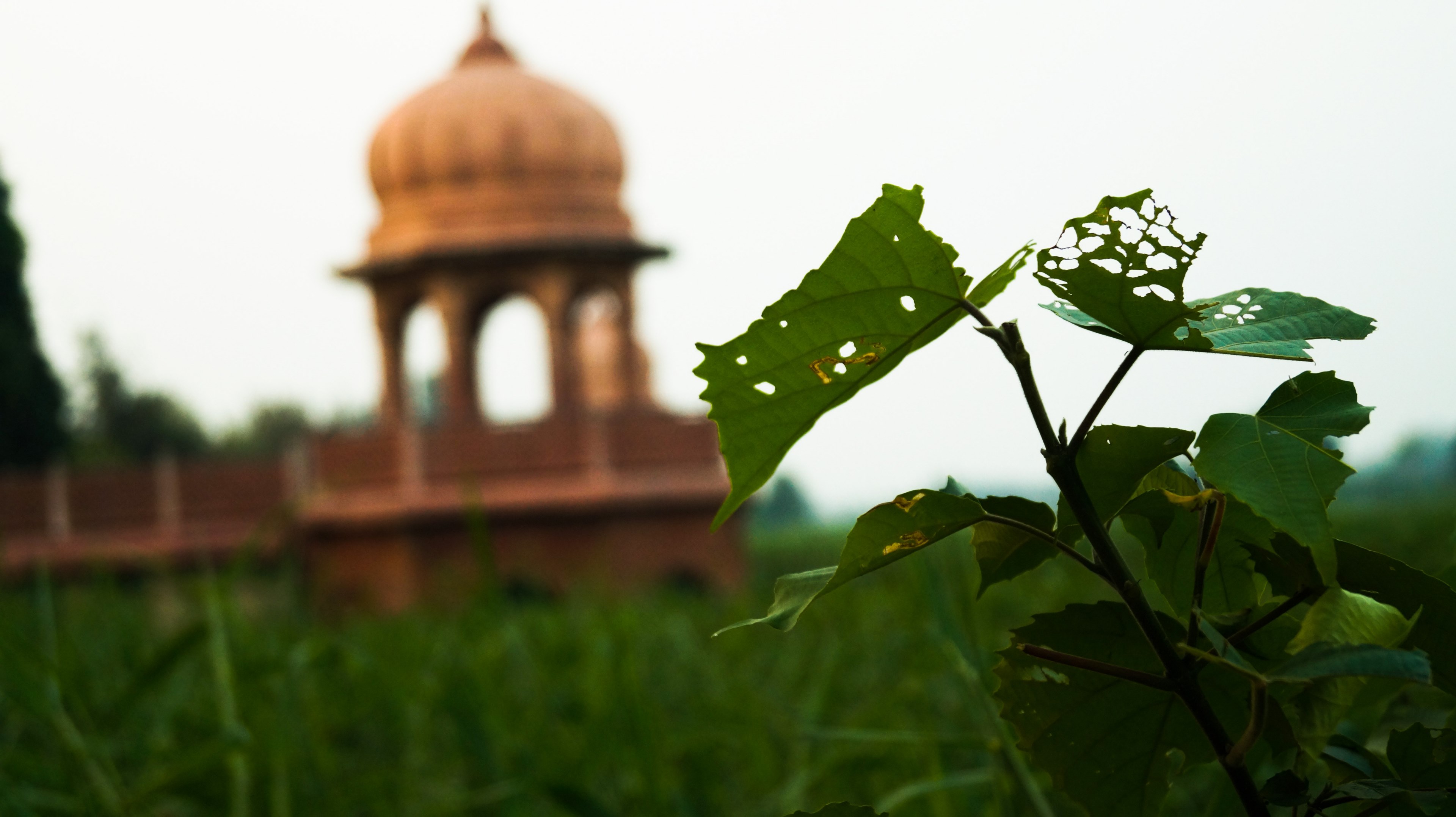 river lucknow indium old lucknow and indium 4k, HD Wallpaper