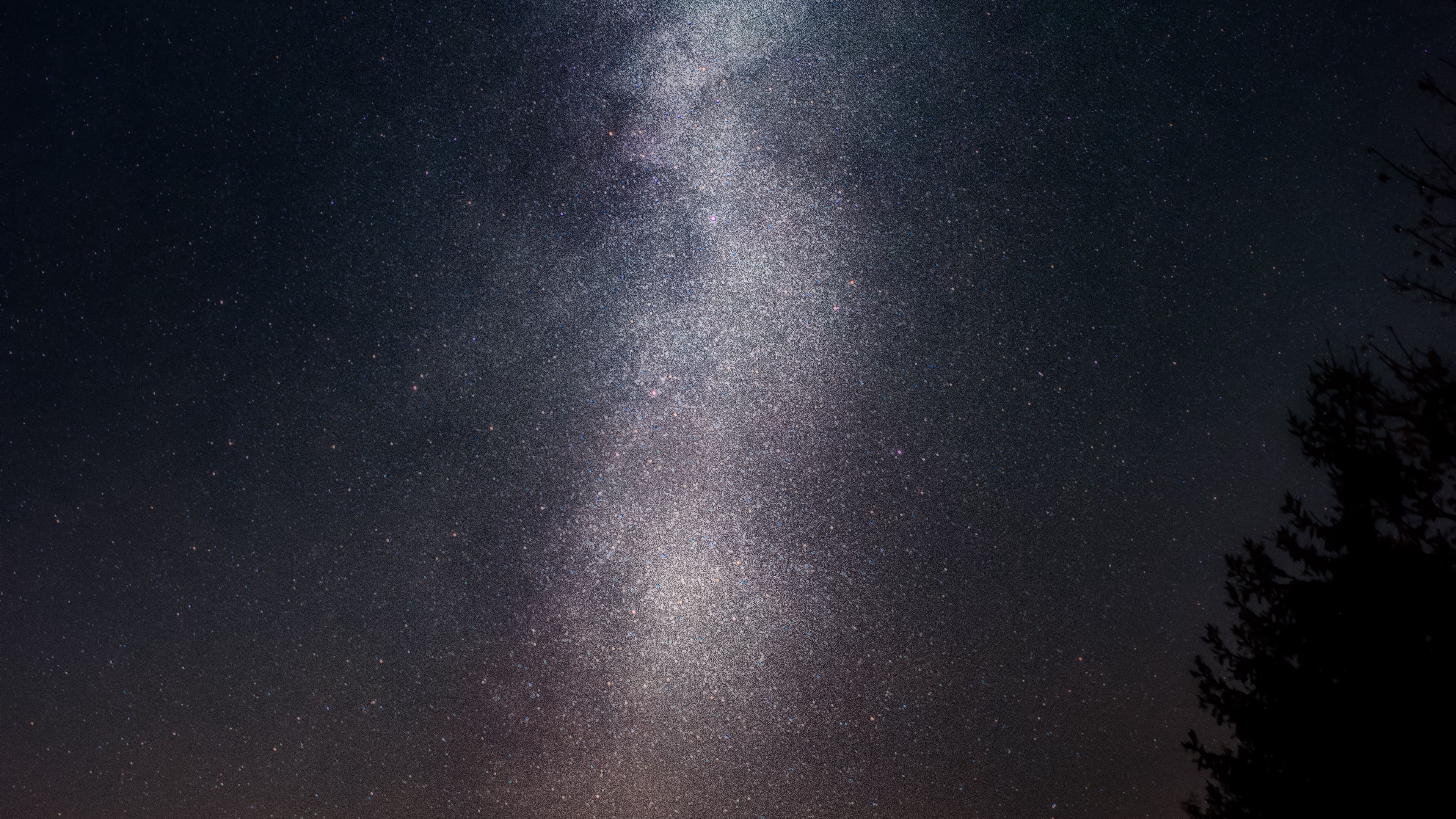 starry sky, night, stars, tree, 4k, HD Wallpaper