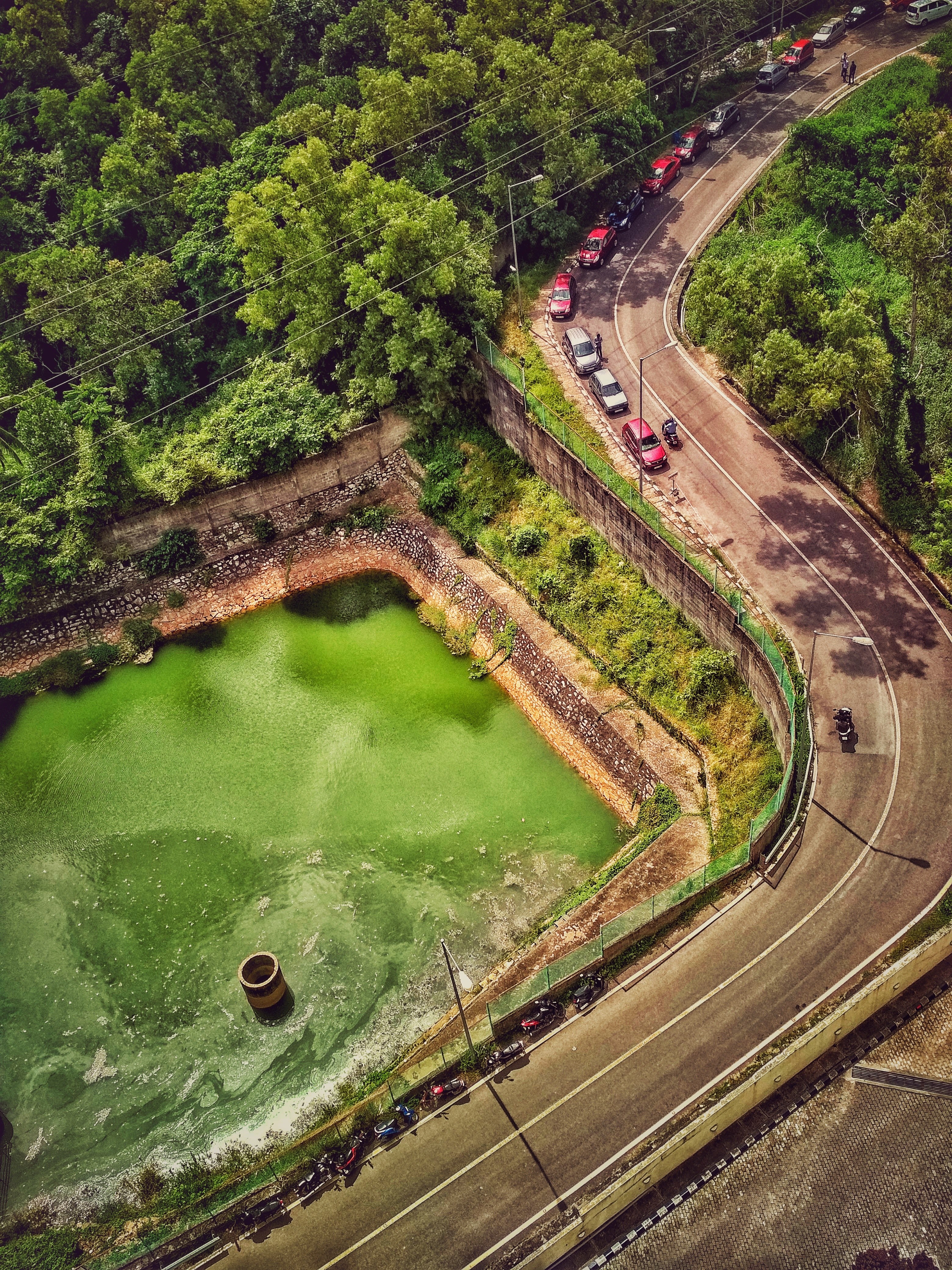 cars line a winding road near forest trees and a green ravine, green ravine 4k, Phone HD Wallpaper