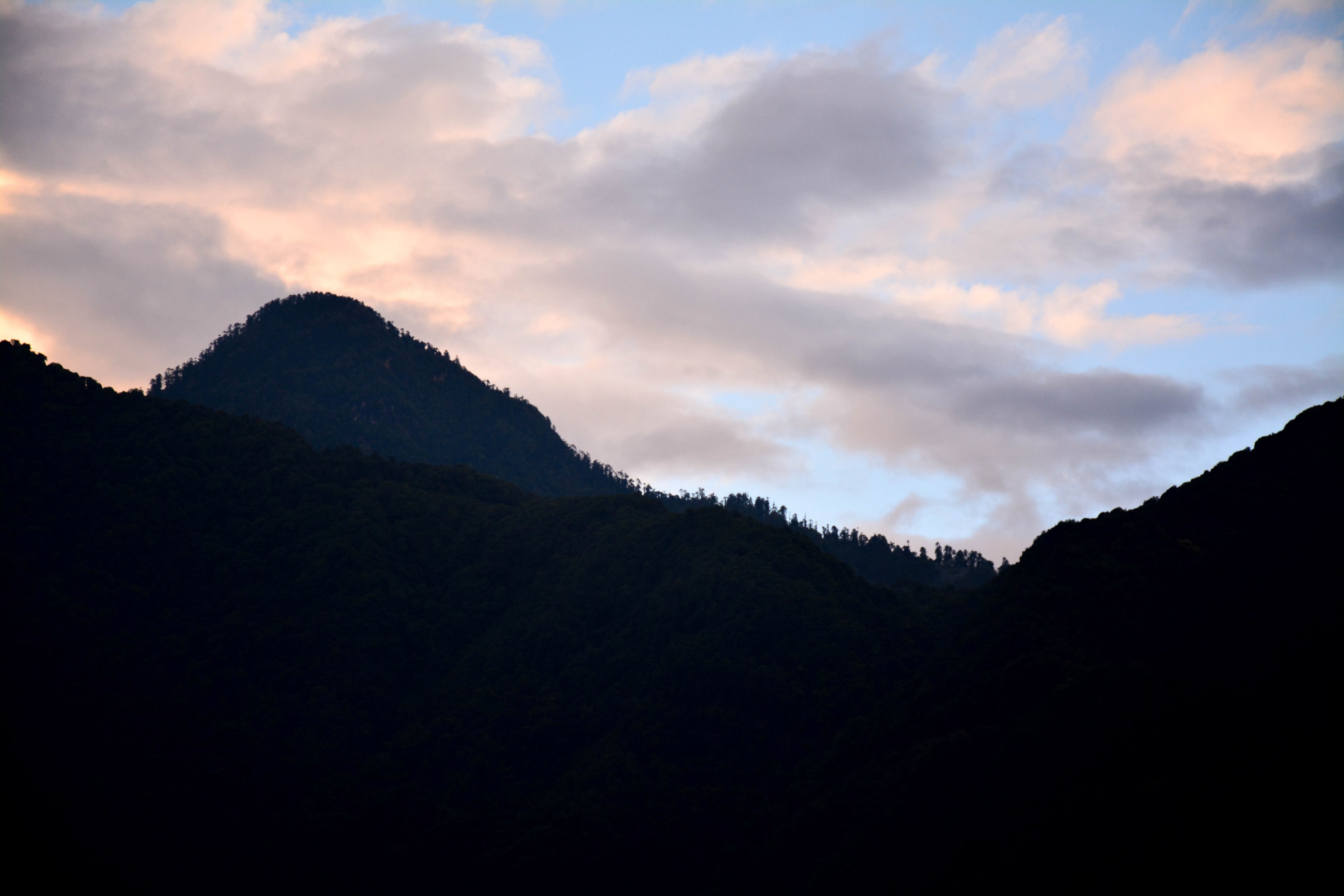 silhouette evening tree and cloud 4k, HD Wallpaper