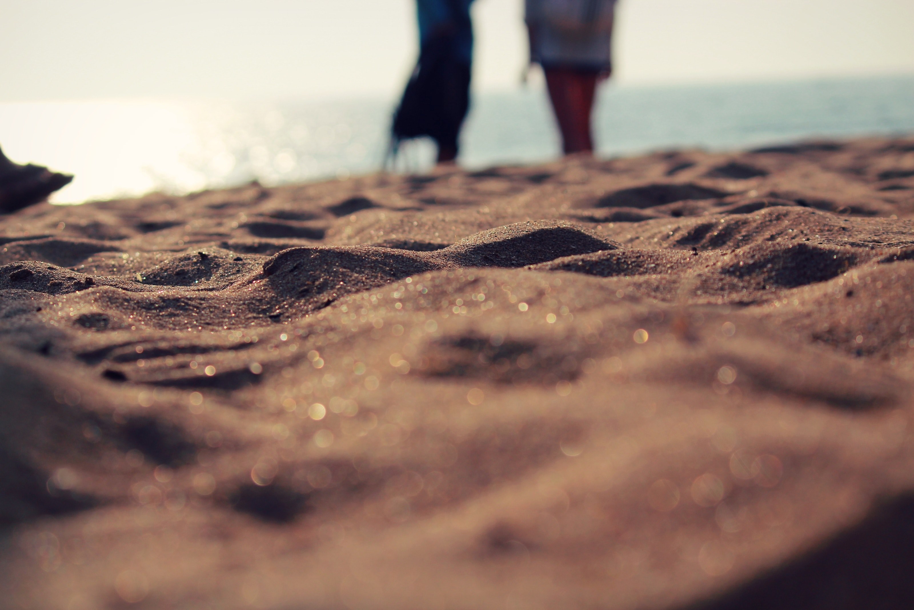zoom cute wow and sand wafe 4k, HD Wallpaper