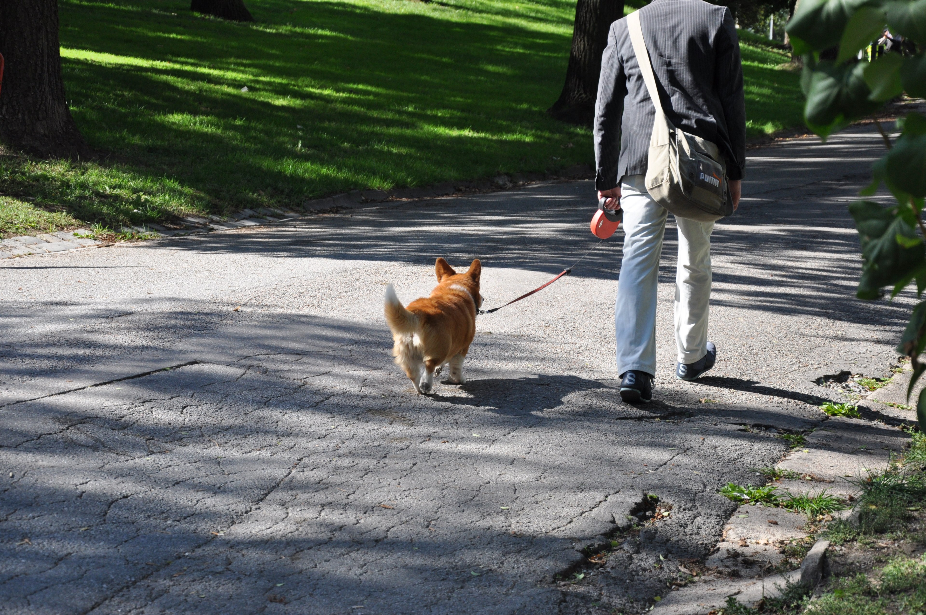 walk sunny day man and street 4k, HD Wallpaper