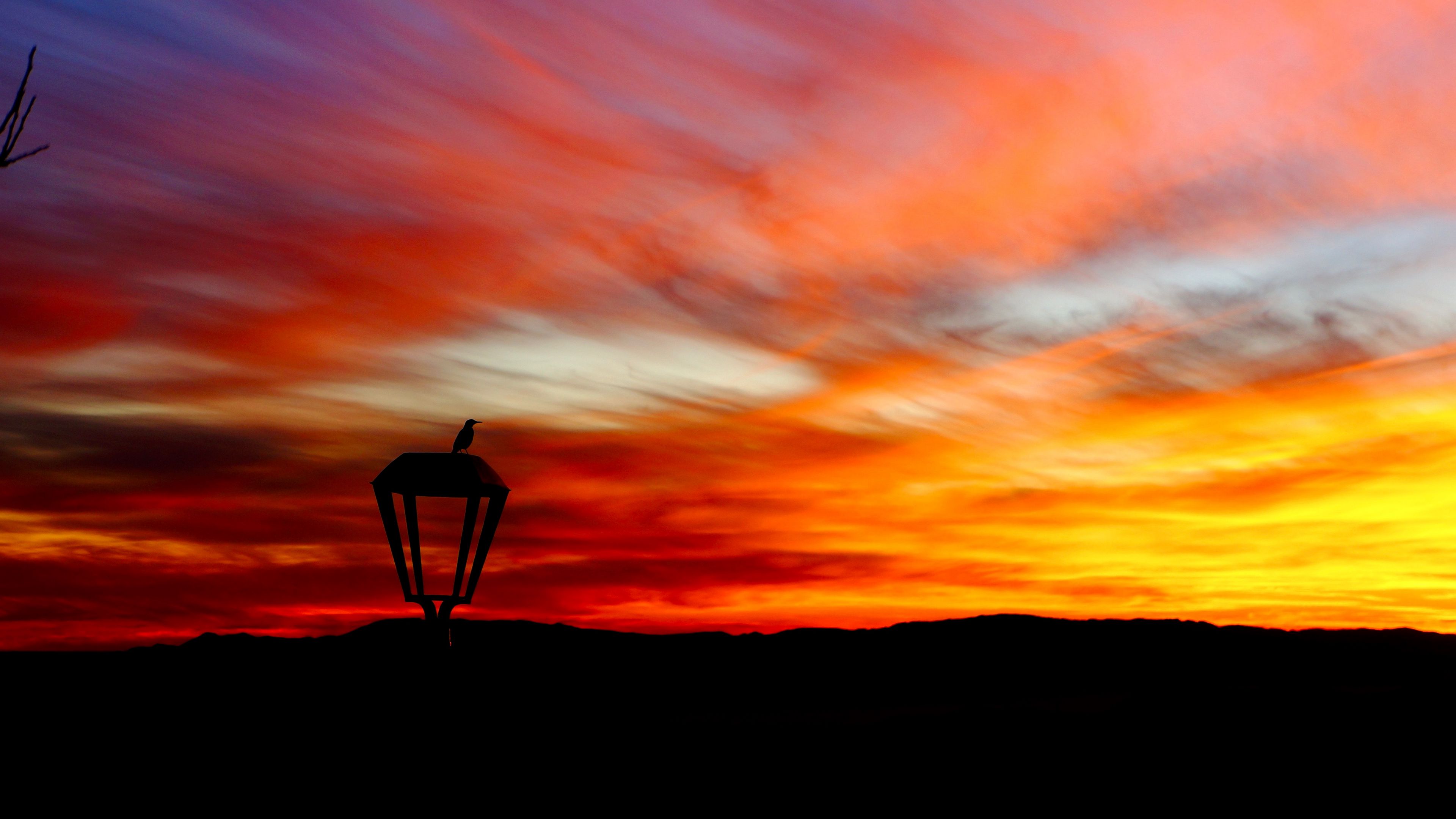 lantern, bird, silhouette, sunset, 4k, HD Wallpaper