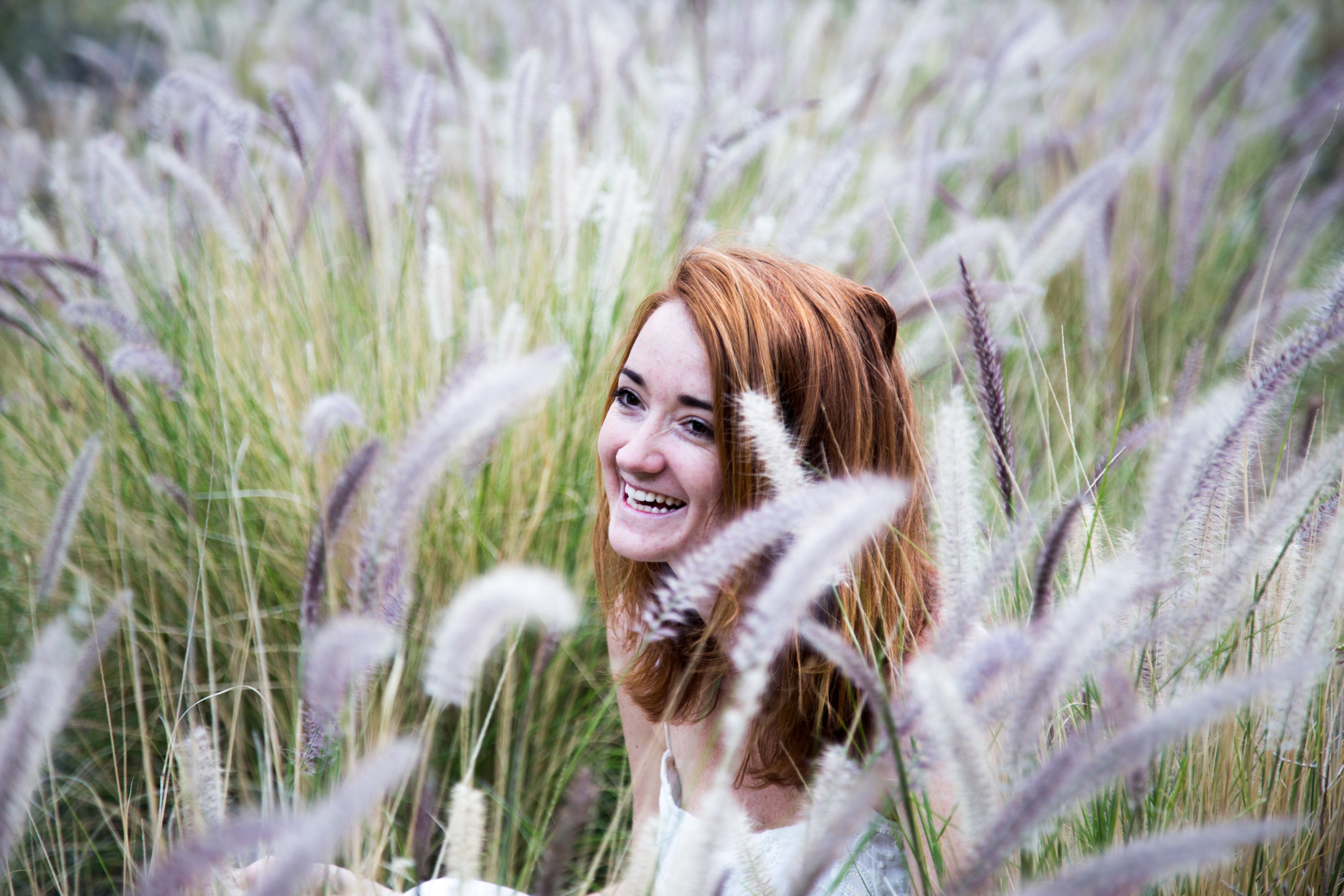 a woman sits laughing in a field of long purple tipped grasses, woman with purple grasses 4k, HD Wallpaper
