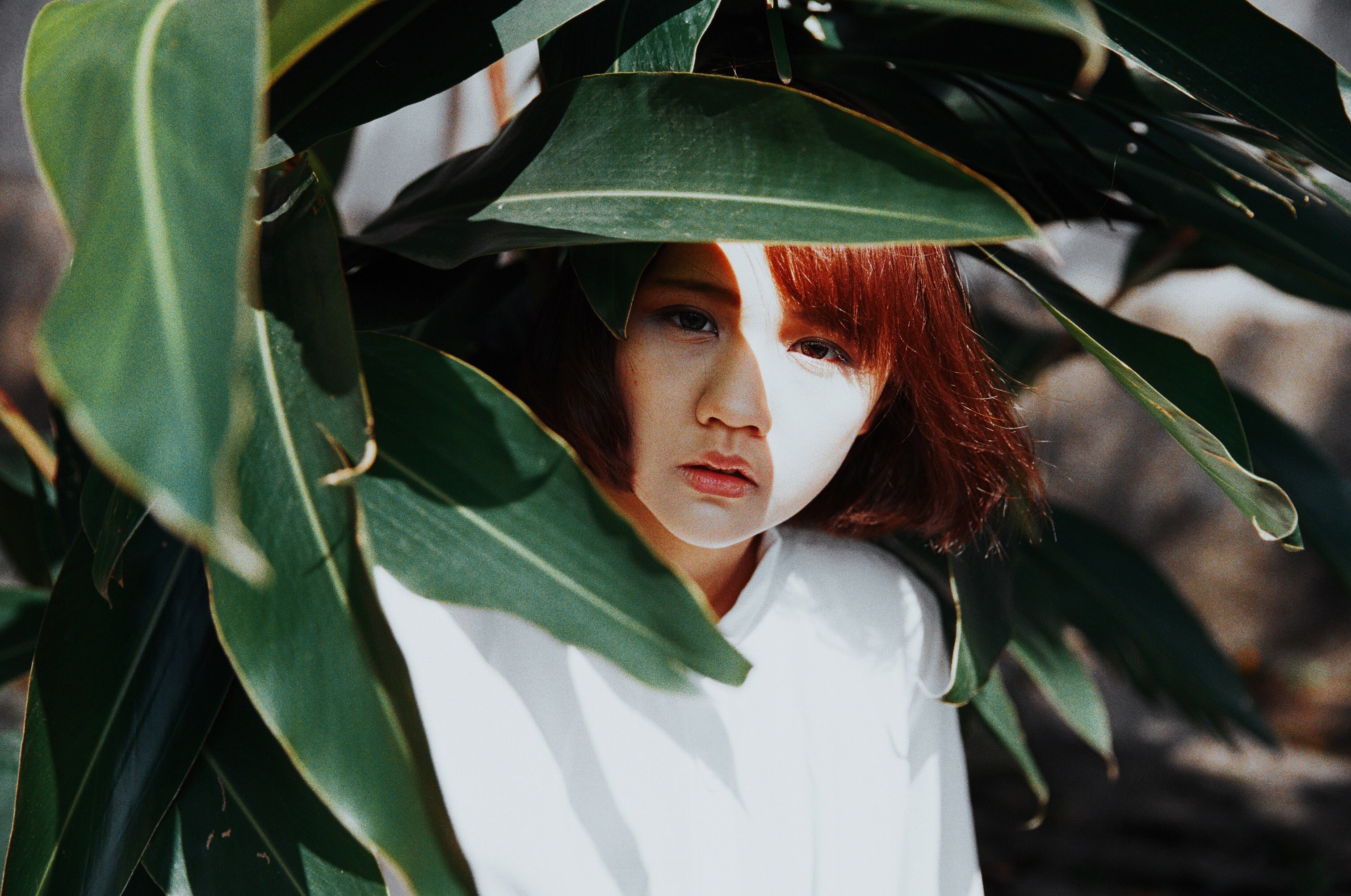 a young woman partially hidden by the leaves looks at the camera in pleiku, _woman in leafy plant 4k, HD Wallpaper