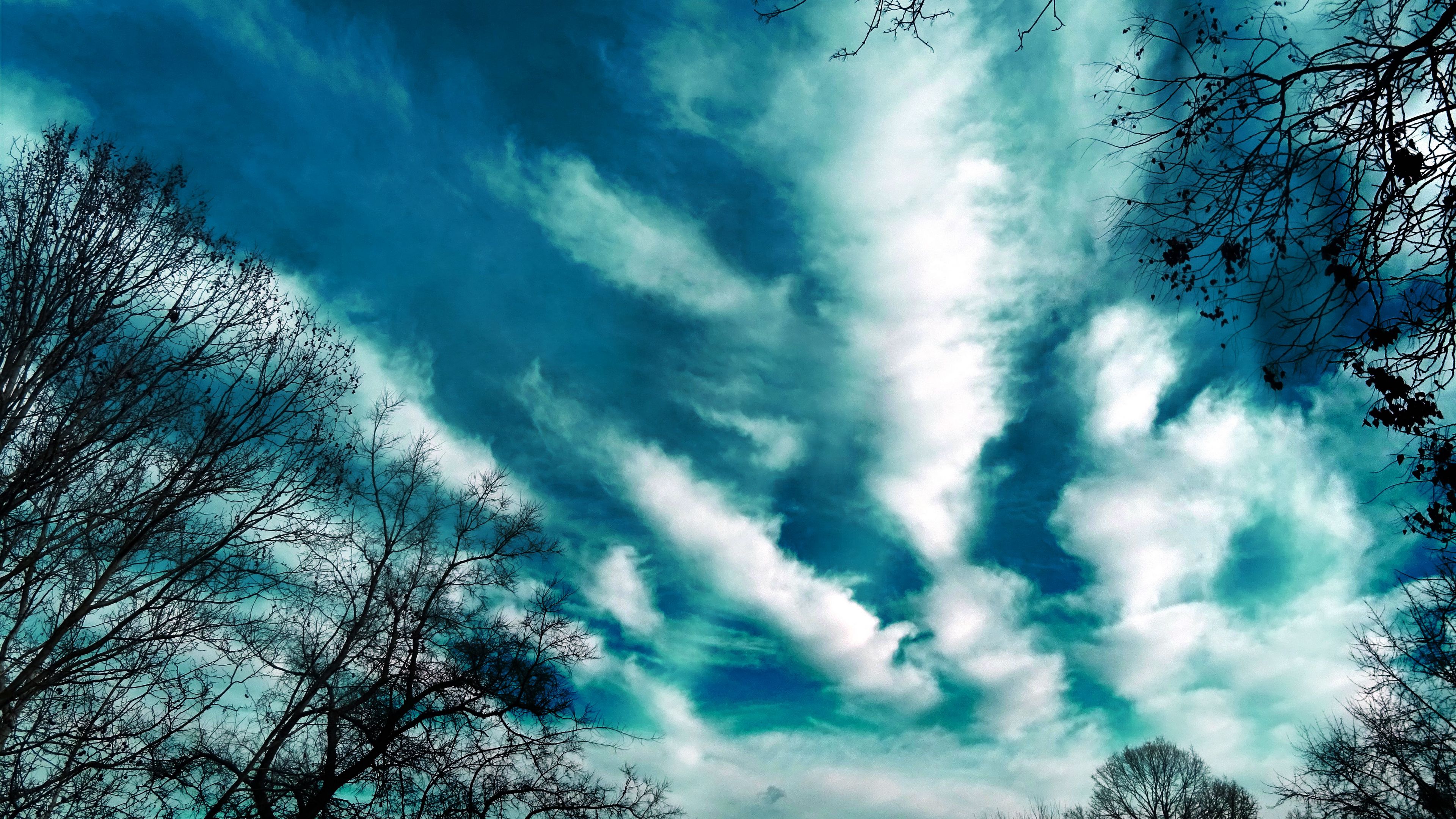 trees, evening, sky, clouds, 4k, HD Wallpaper