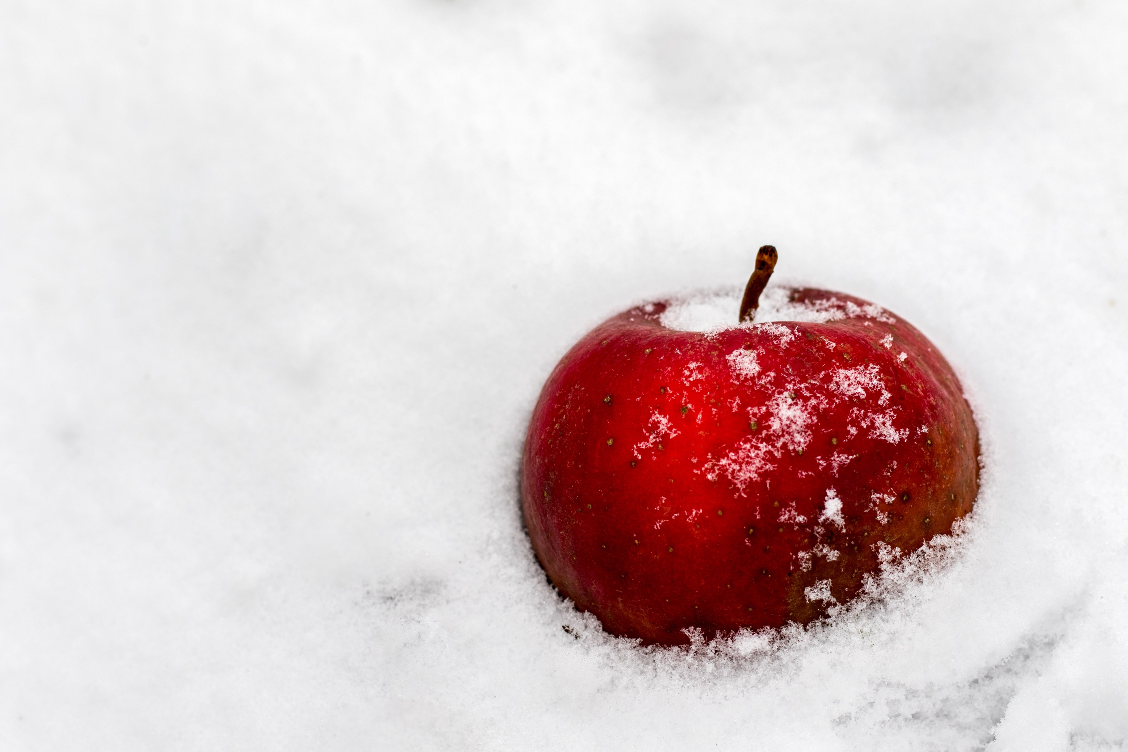winter frozen clean and contrast 4k, HD Wallpaper