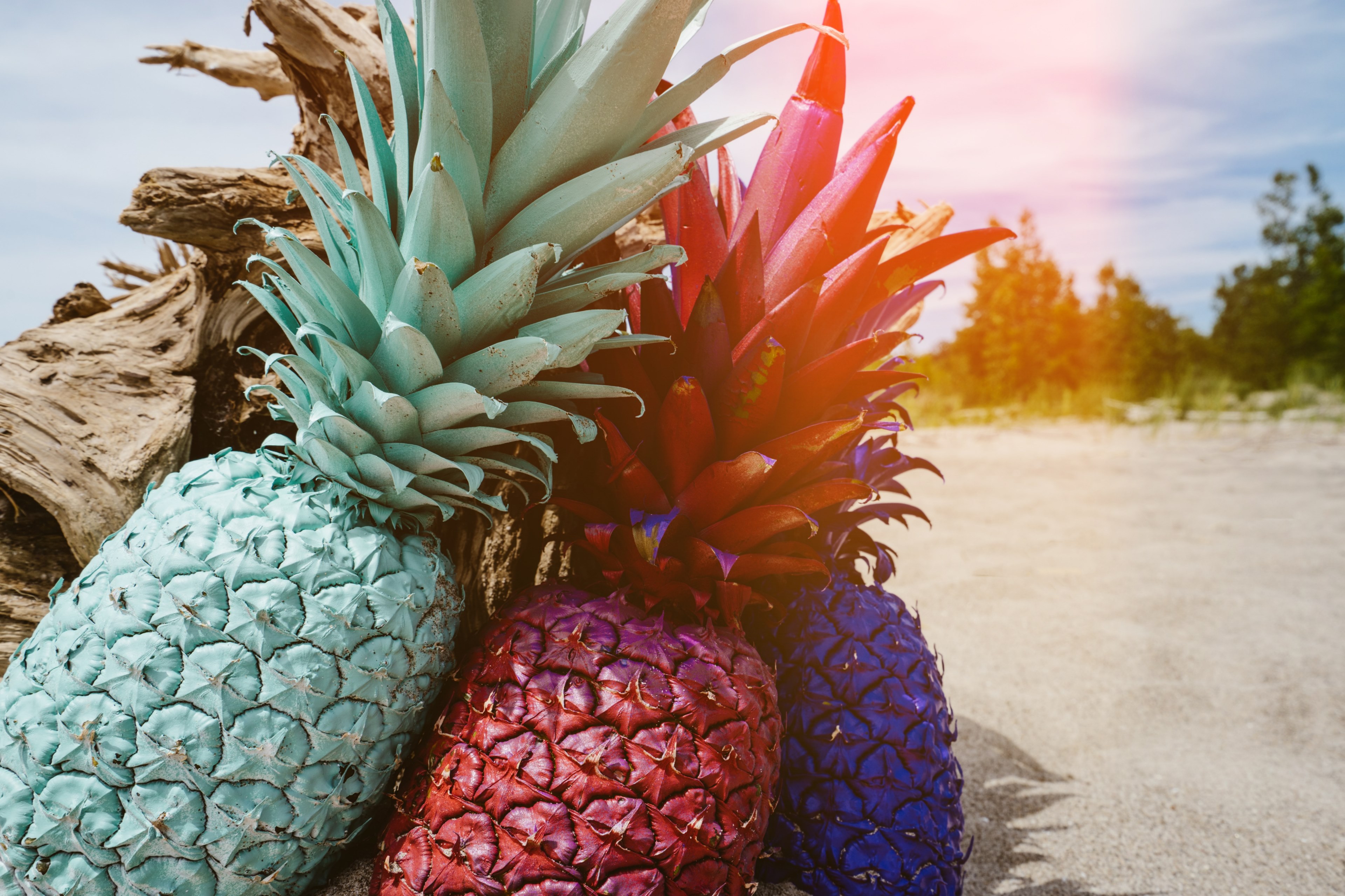 multicolored pineapples leaning against each other on the beach, _pineapple trio 4k, HD Wallpaper