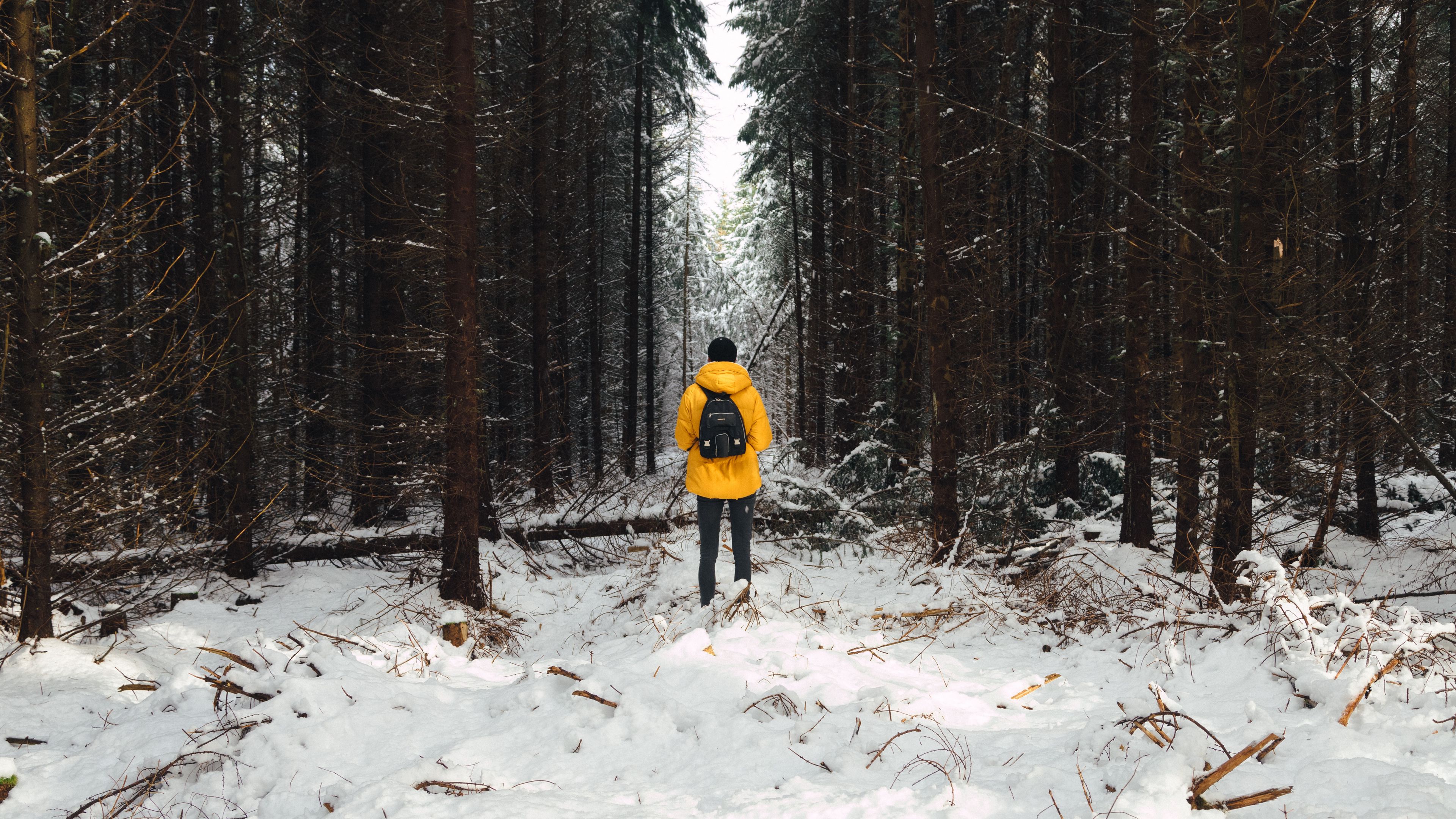 man, forest, snow, winter, trees, 4k, HD Wallpaper