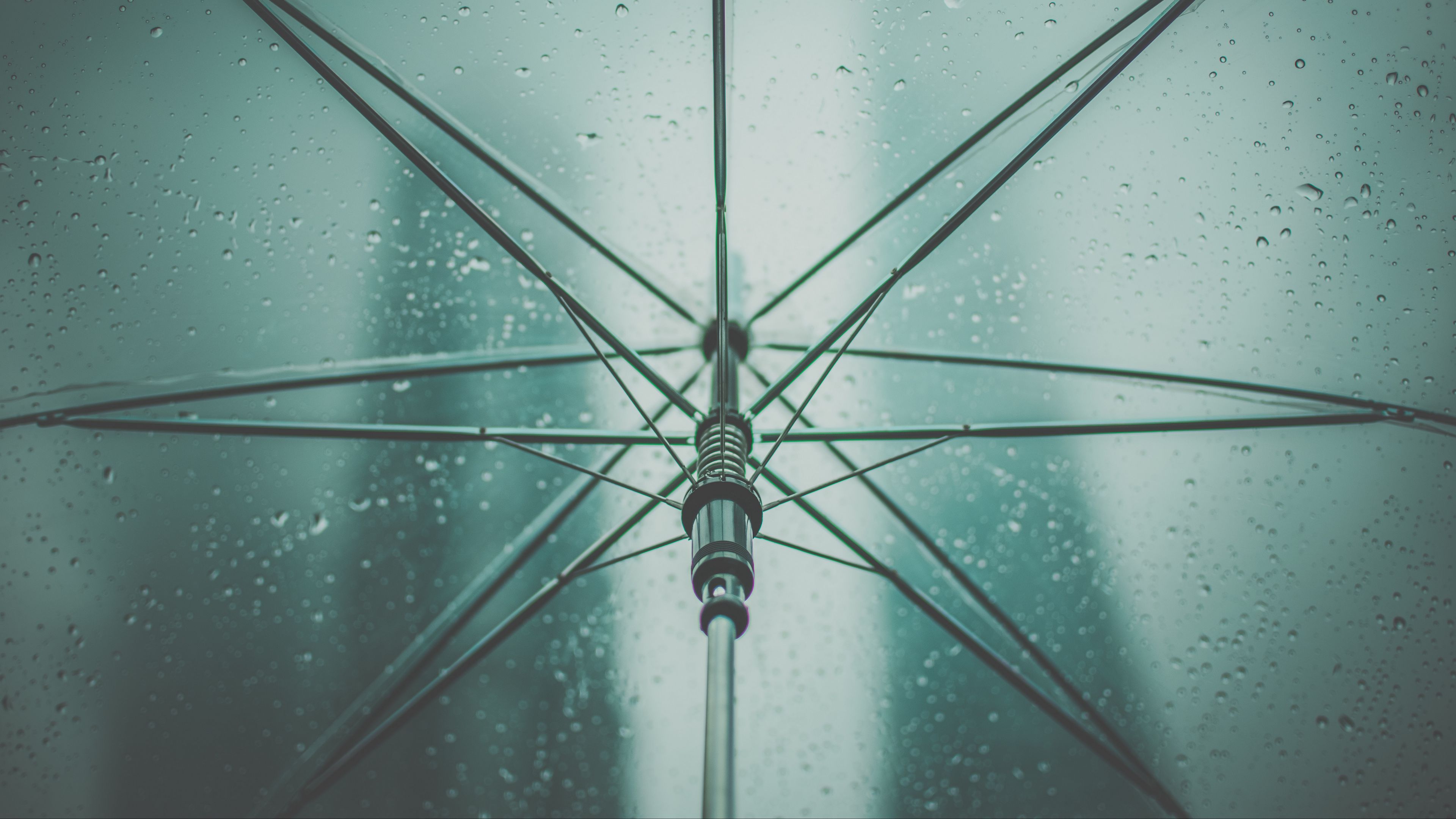 umbrella, rain, drops, 4k, HD Wallpaper