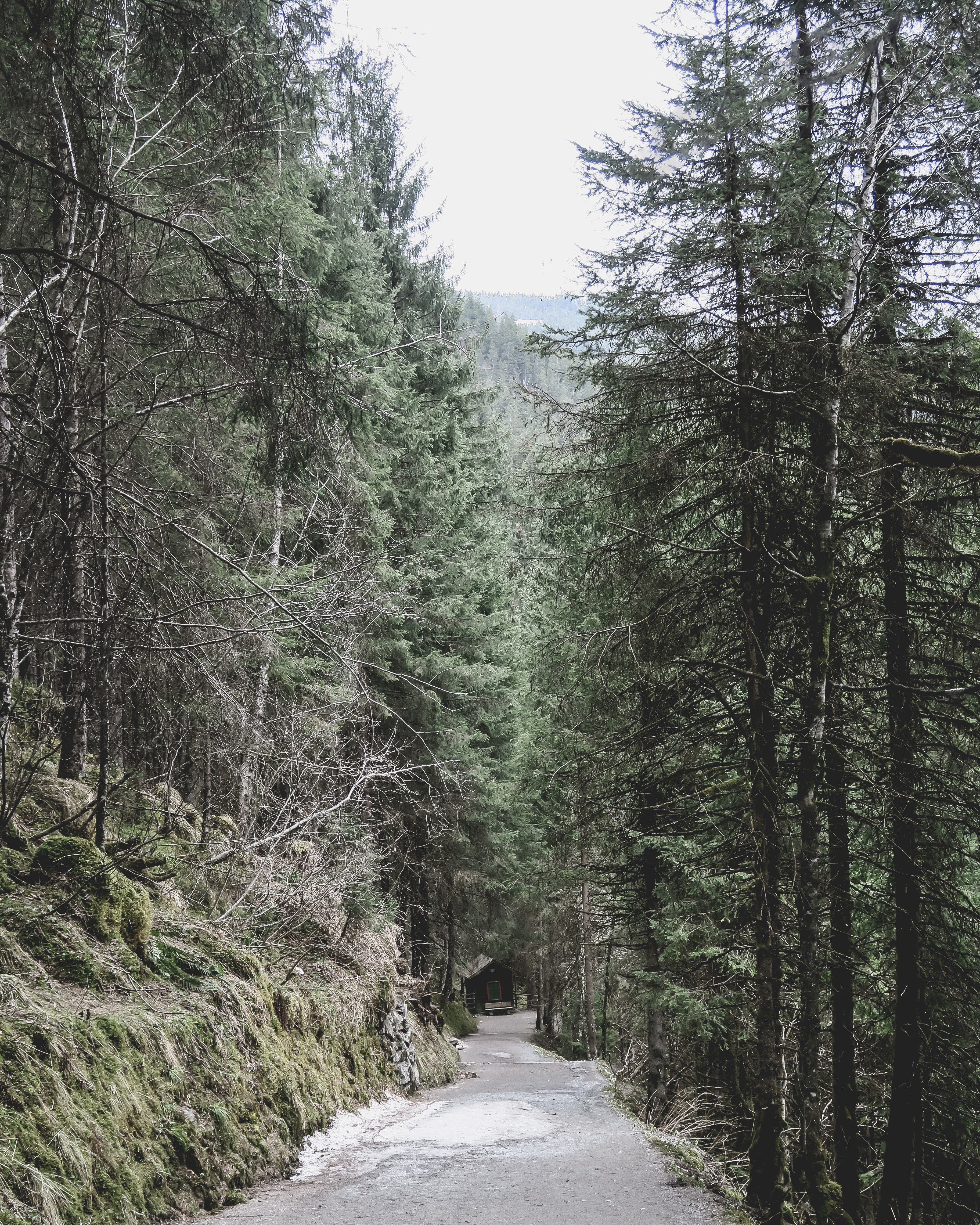 wanderlust salzburg waterfall and explore hd, 4k, Phone HD Wallpaper