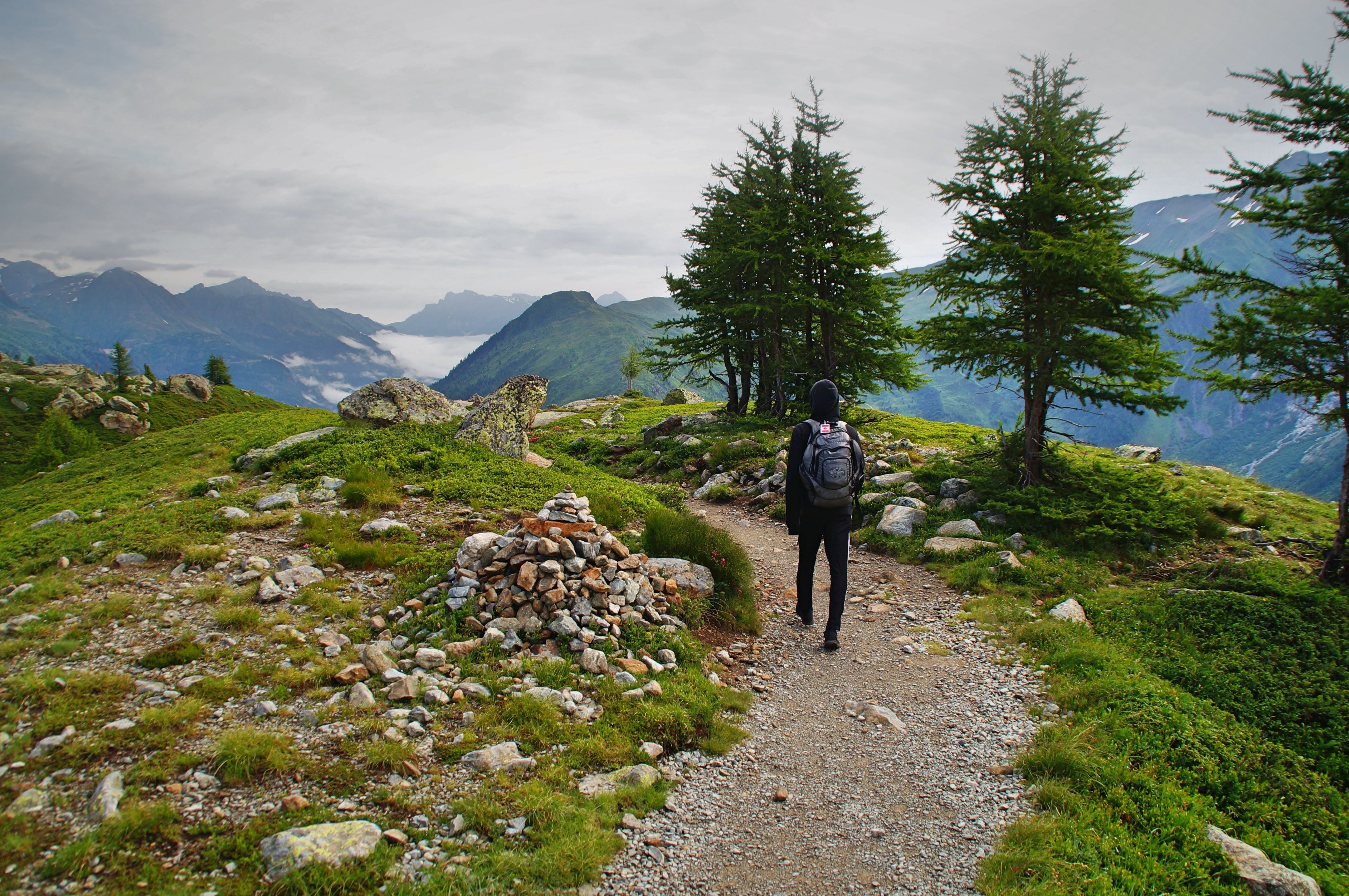 mountain tree hike and grass 4k, HD Wallpaper