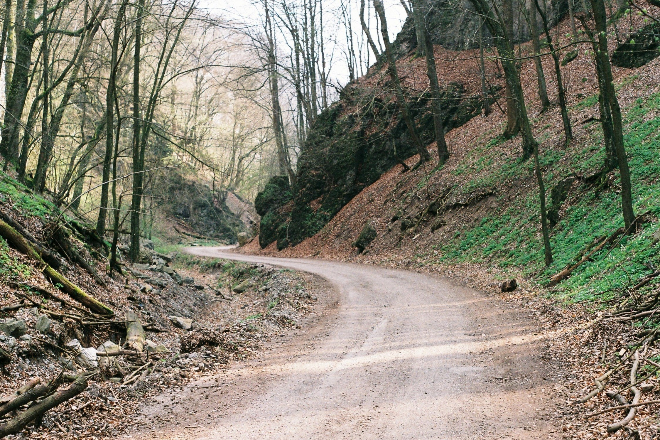 a dirt road winding along a steep slope in the woods, winding forest road 4k, HD Wallpaper