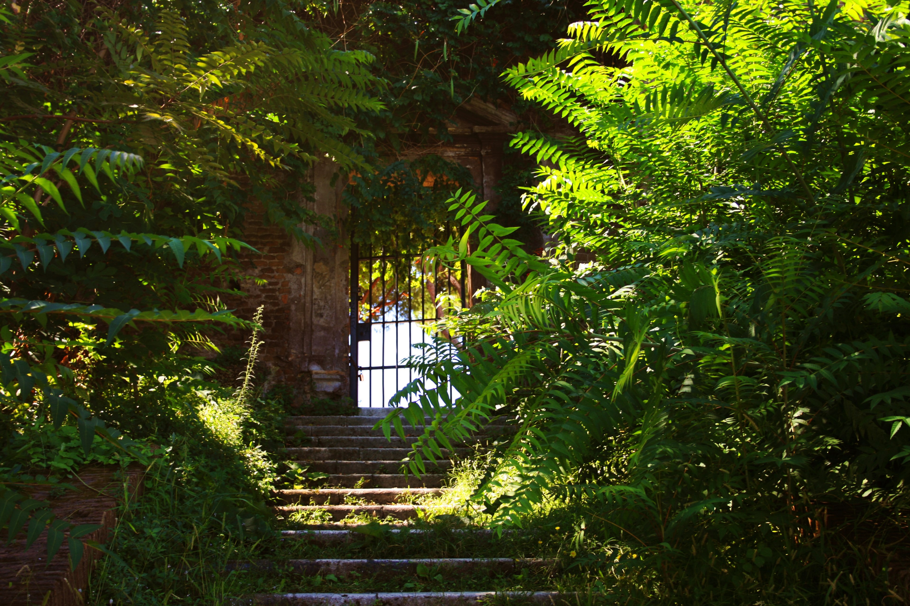 flora entrance secret and door 4k, HD Wallpaper