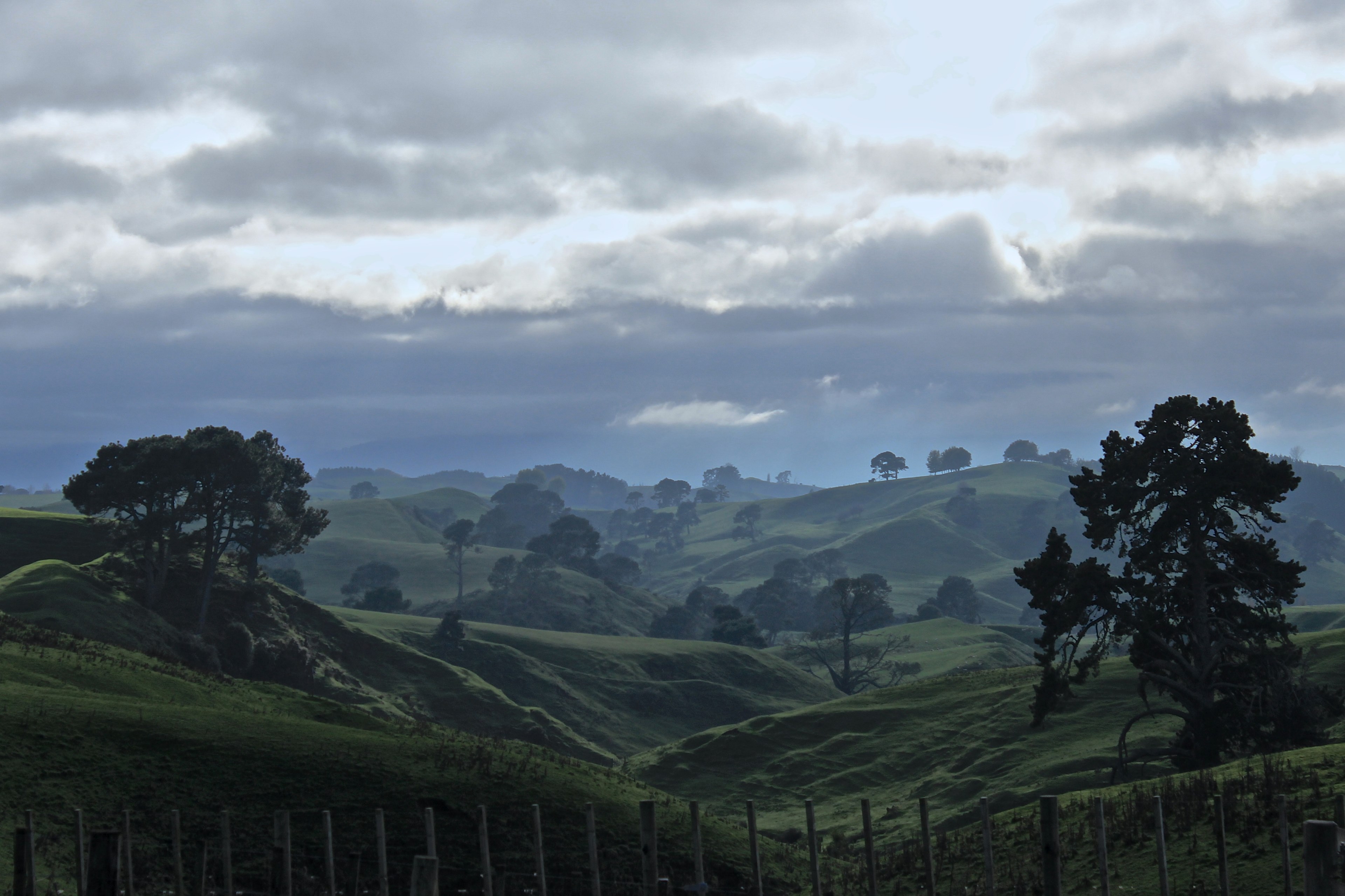 trees on green undulating hills on a cloudy day, pastures by buckland road 4k, HD Wallpaper