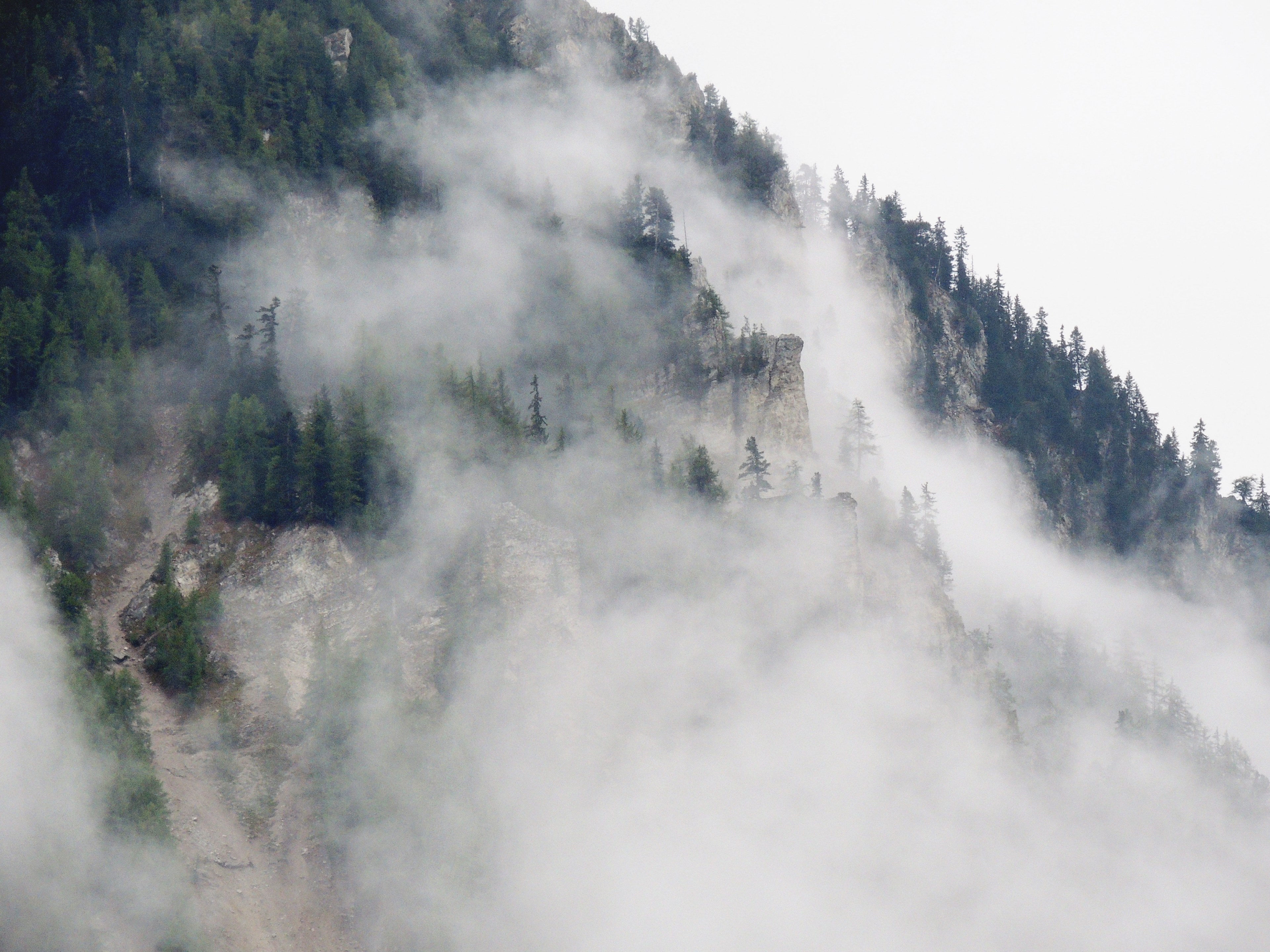 mist rolling down a jagged mountain slope covered with coniferous trees, mist on a jagged slope 4k, HD Wallpaper