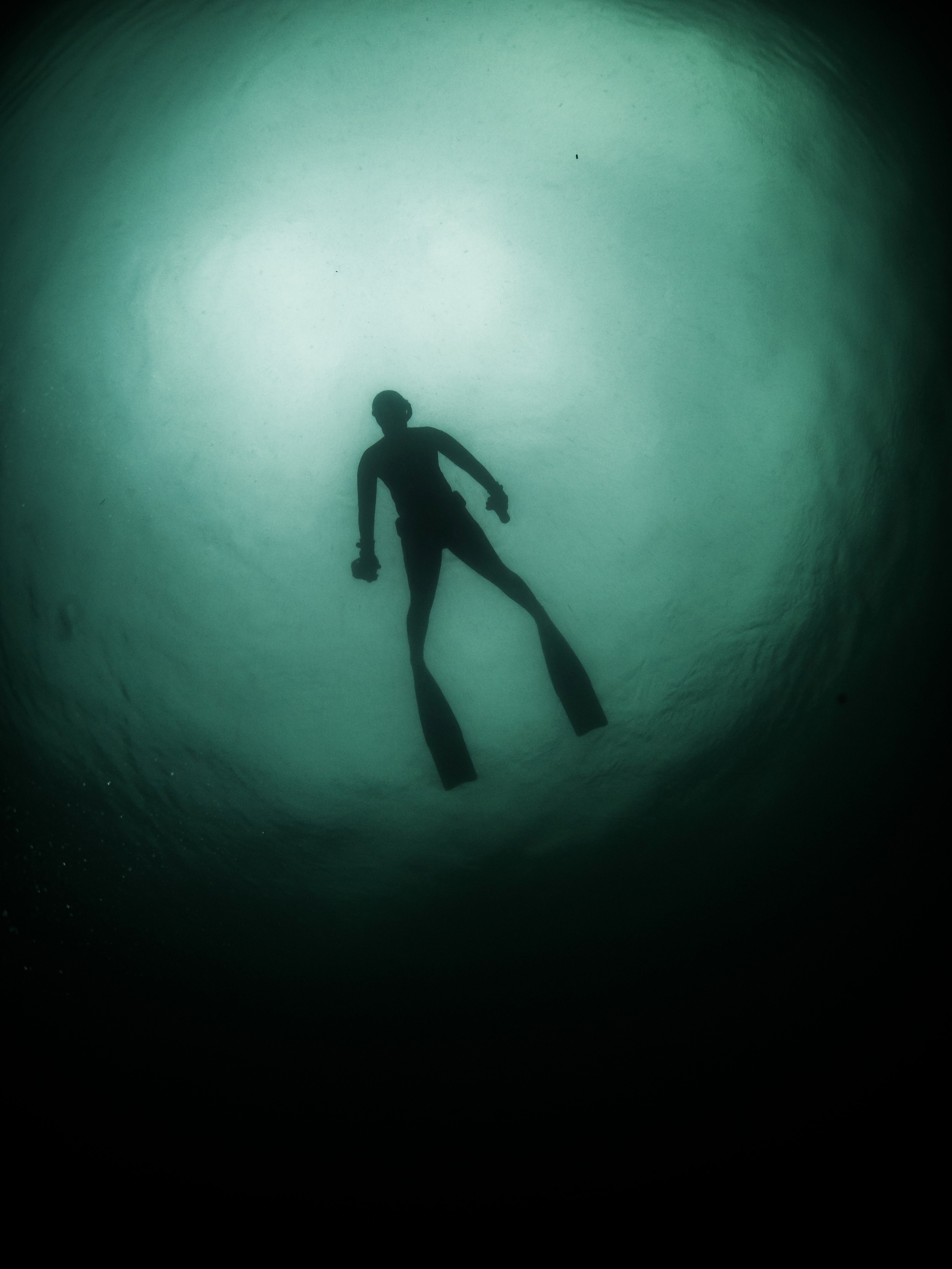 sea pacific view and diver hd, 4k, Phone HD Wallpaper