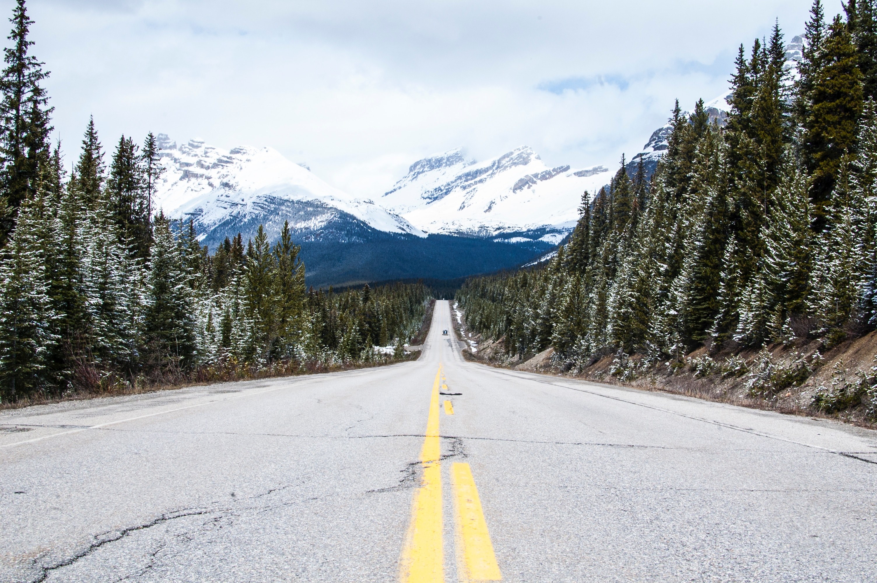 mountain forest road and snow 4k, HD Wallpaper