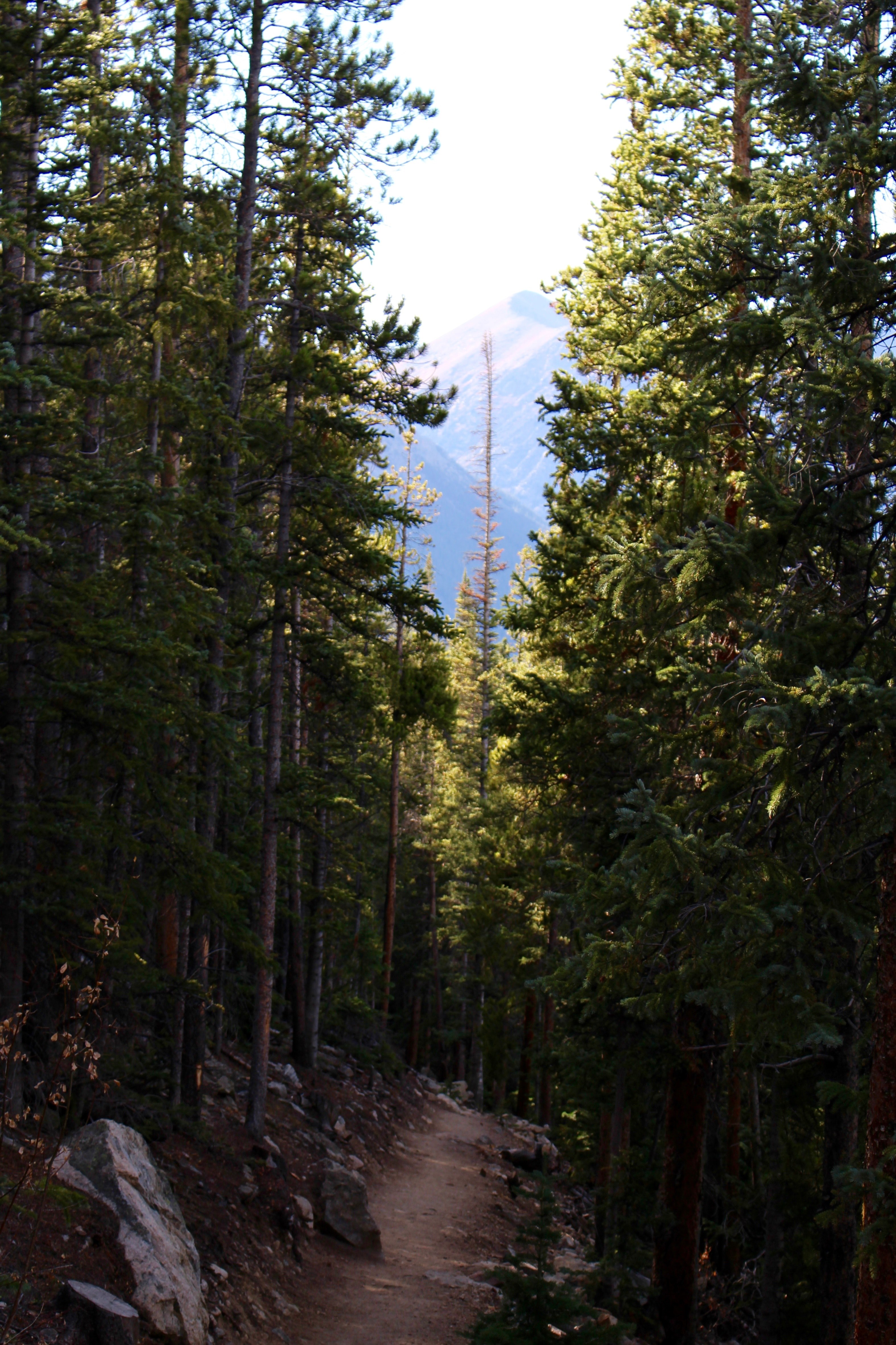 pine hike hiking and colorado hd, 4k, Phone HD Wallpaper