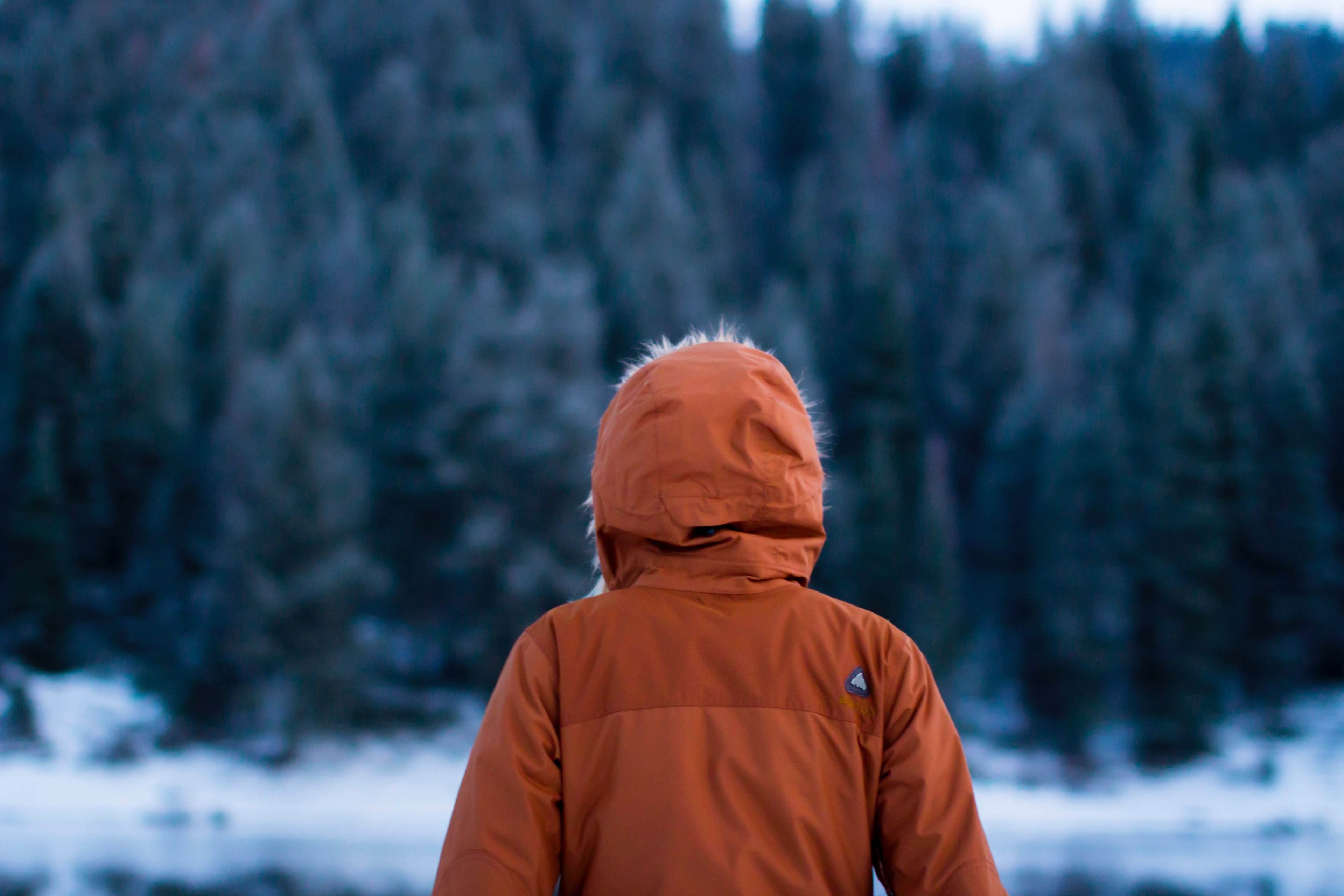 person in orange parka looks out at the snow and evergreen trees, person in parka in winter 4k, HD Wallpaper